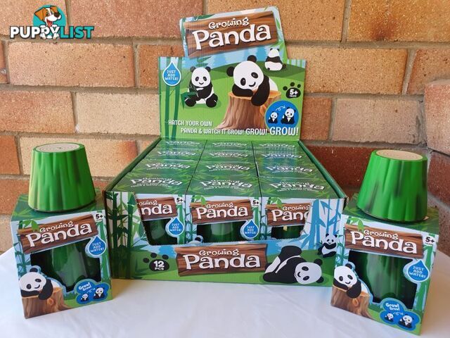 Growing Pet Panda Toy