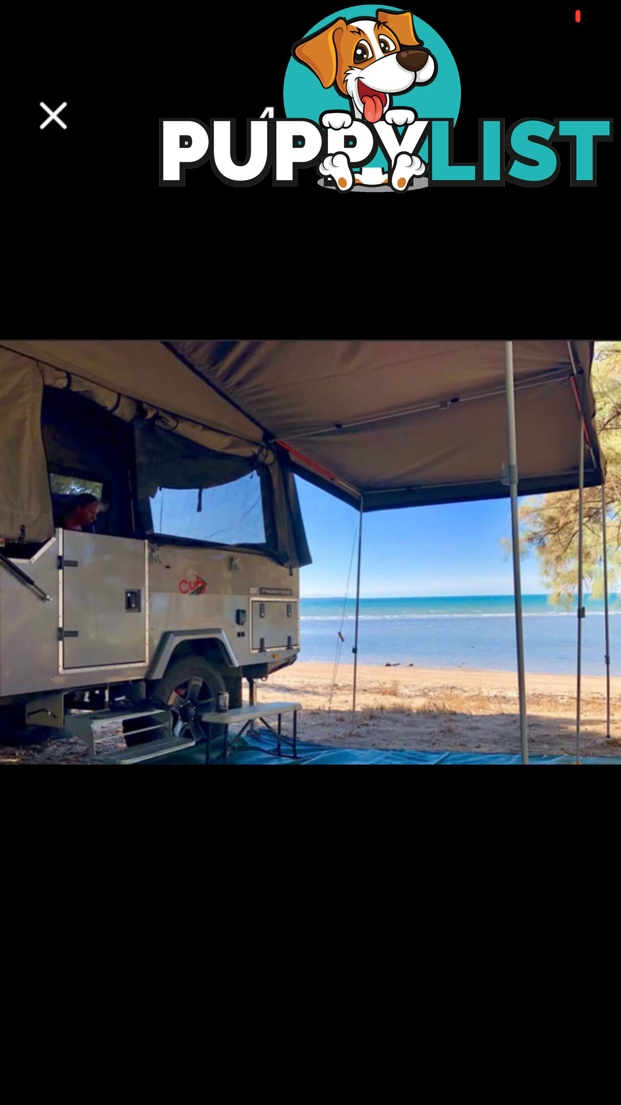 2018 Cub Frontier 50th Anniversary
