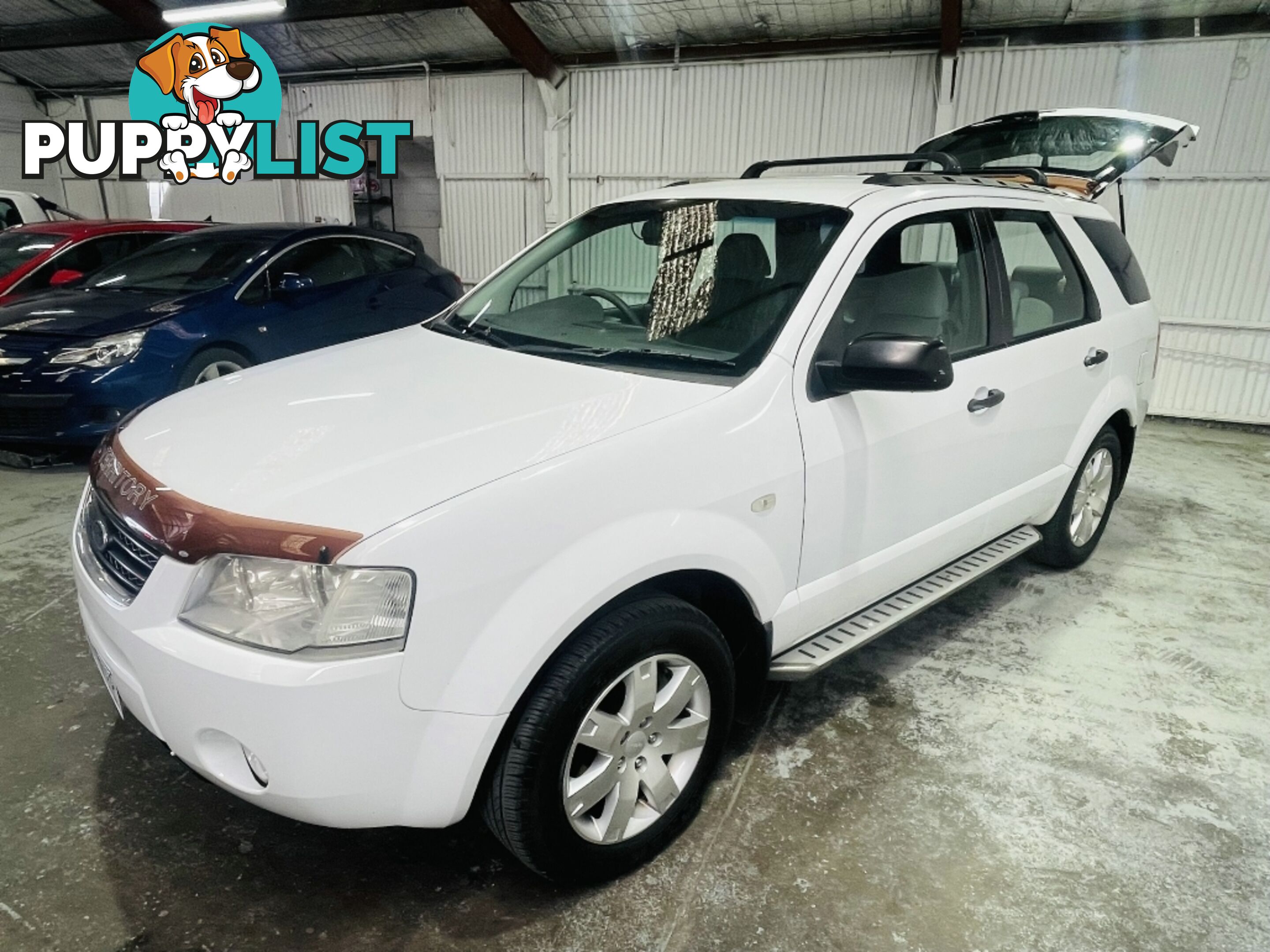 2005  FORD TERRITORY TS RWD SY WAGON