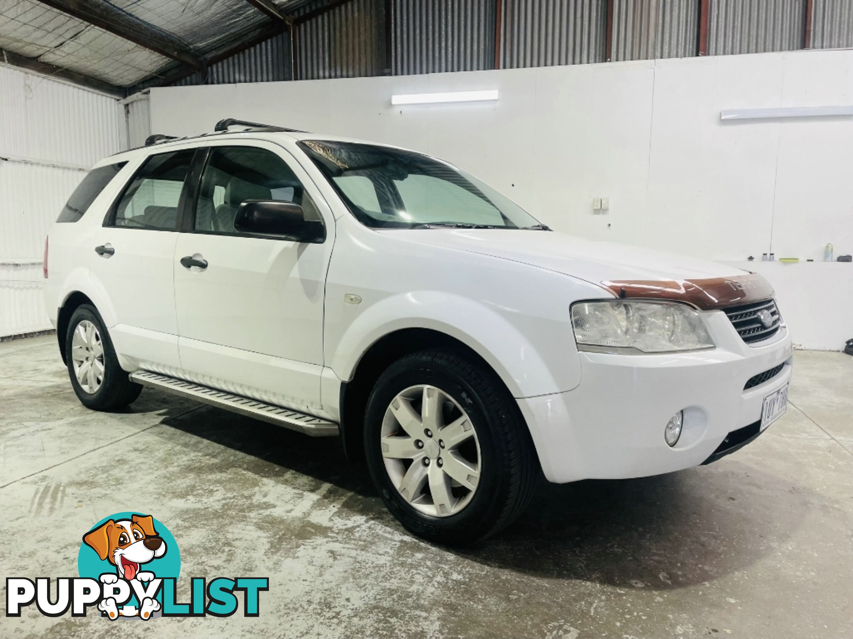 2005  FORD TERRITORY TS RWD SY WAGON