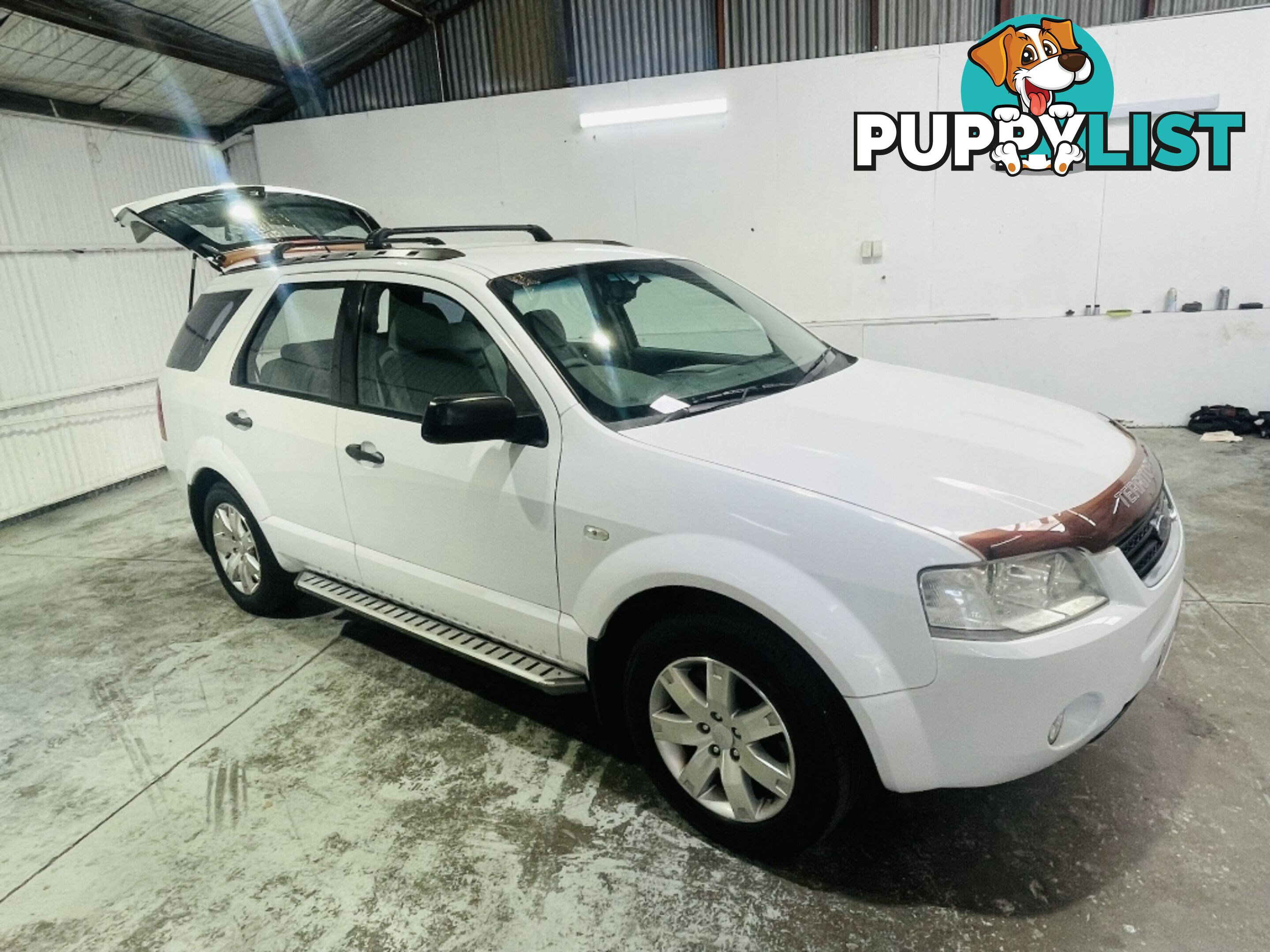 2005  FORD TERRITORY TS RWD SY WAGON