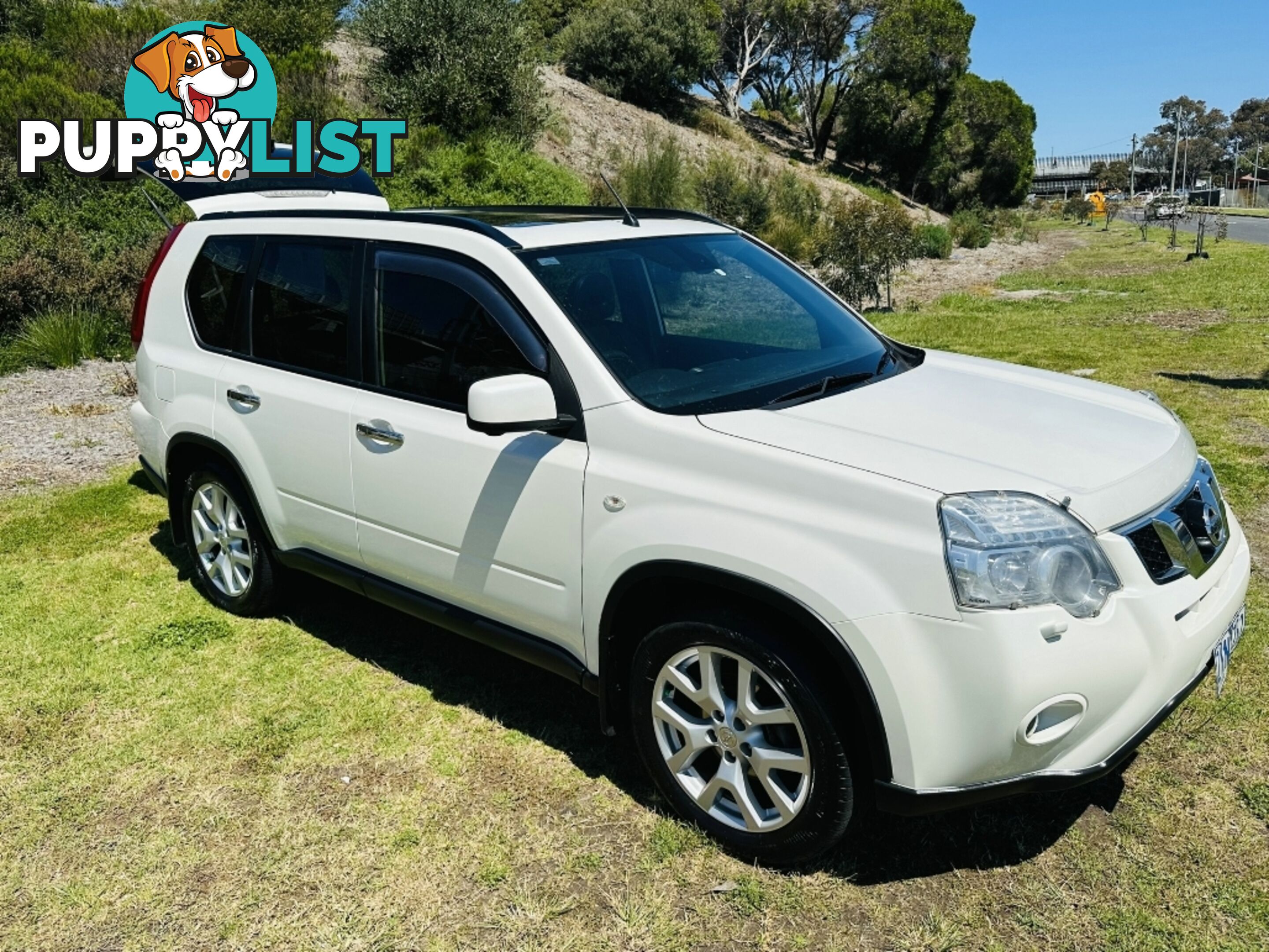 2012  NISSAN X-TRAIL TL T31 Series V WAGON