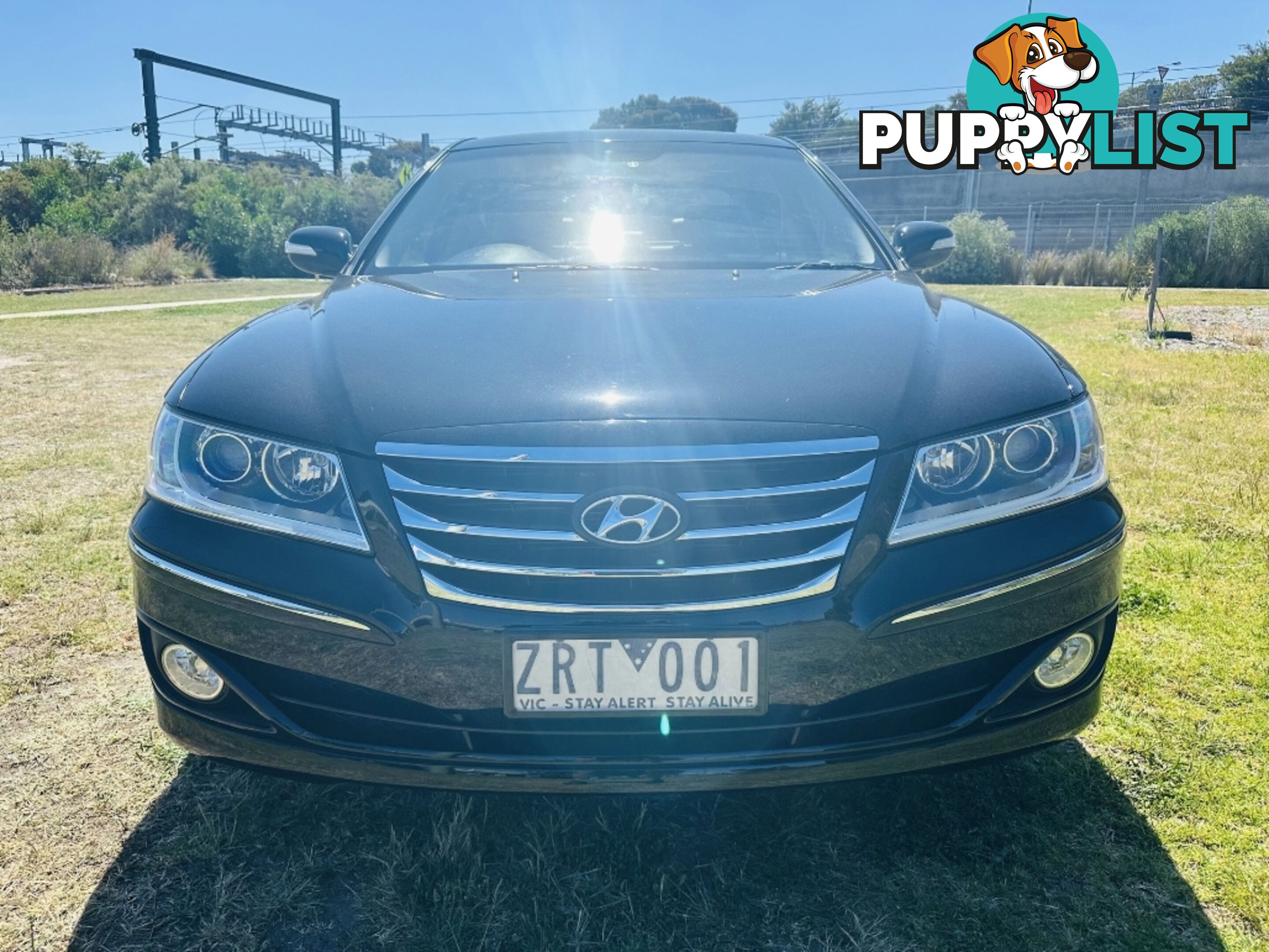 2010  HYUNDAI GRANDEUR  TG MY11 SEDAN