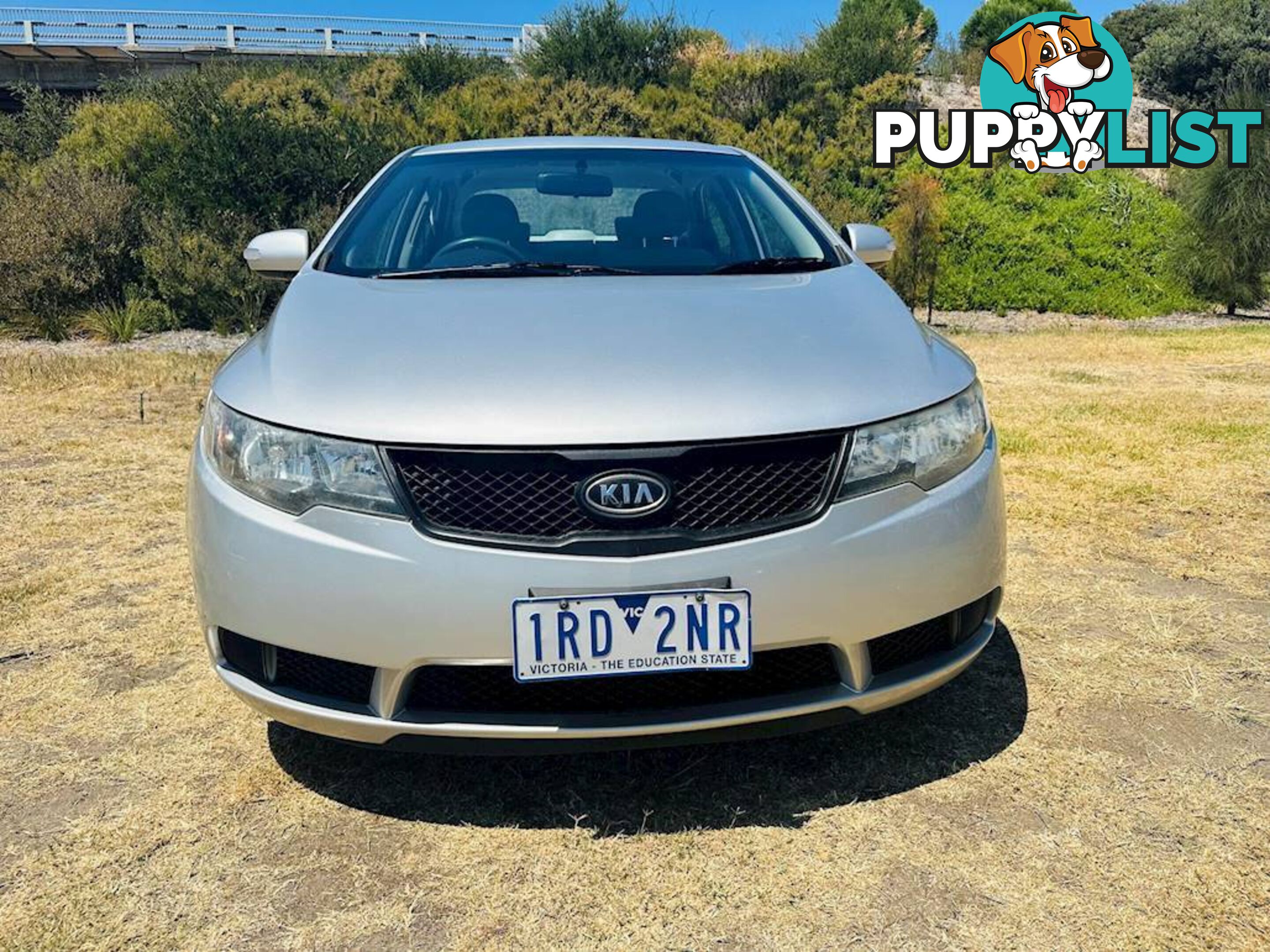 2009  KIA CERATO S TD MY10 SEDAN