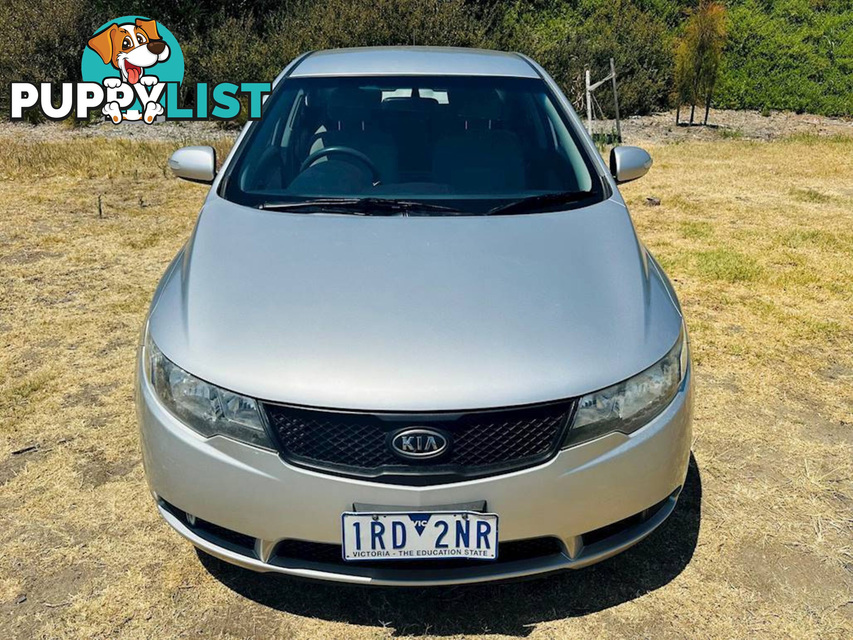 2009  KIA CERATO S TD MY10 SEDAN