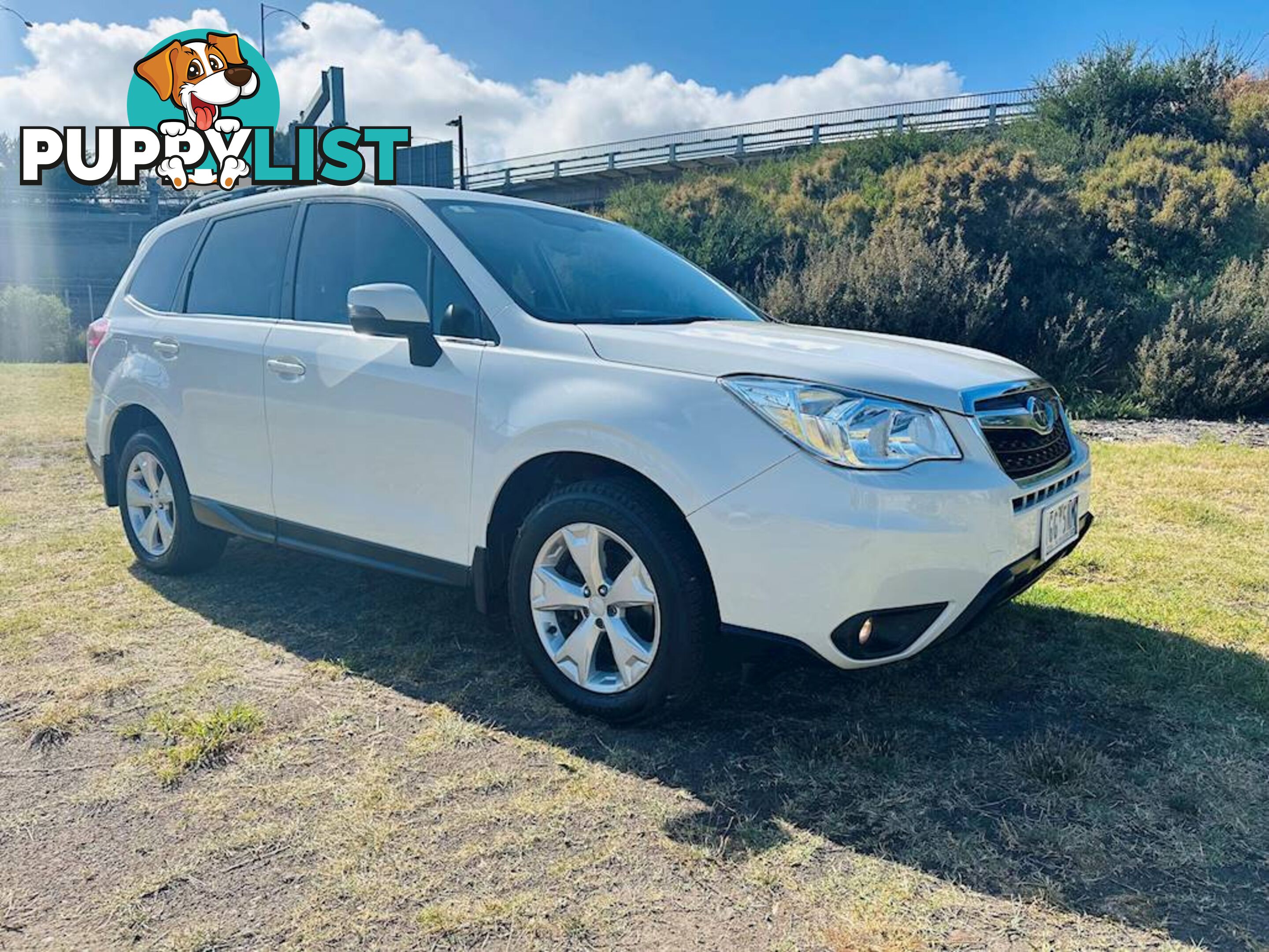 2015  SUBARU FORESTER 2.5I-L S4 MY15 WAGON