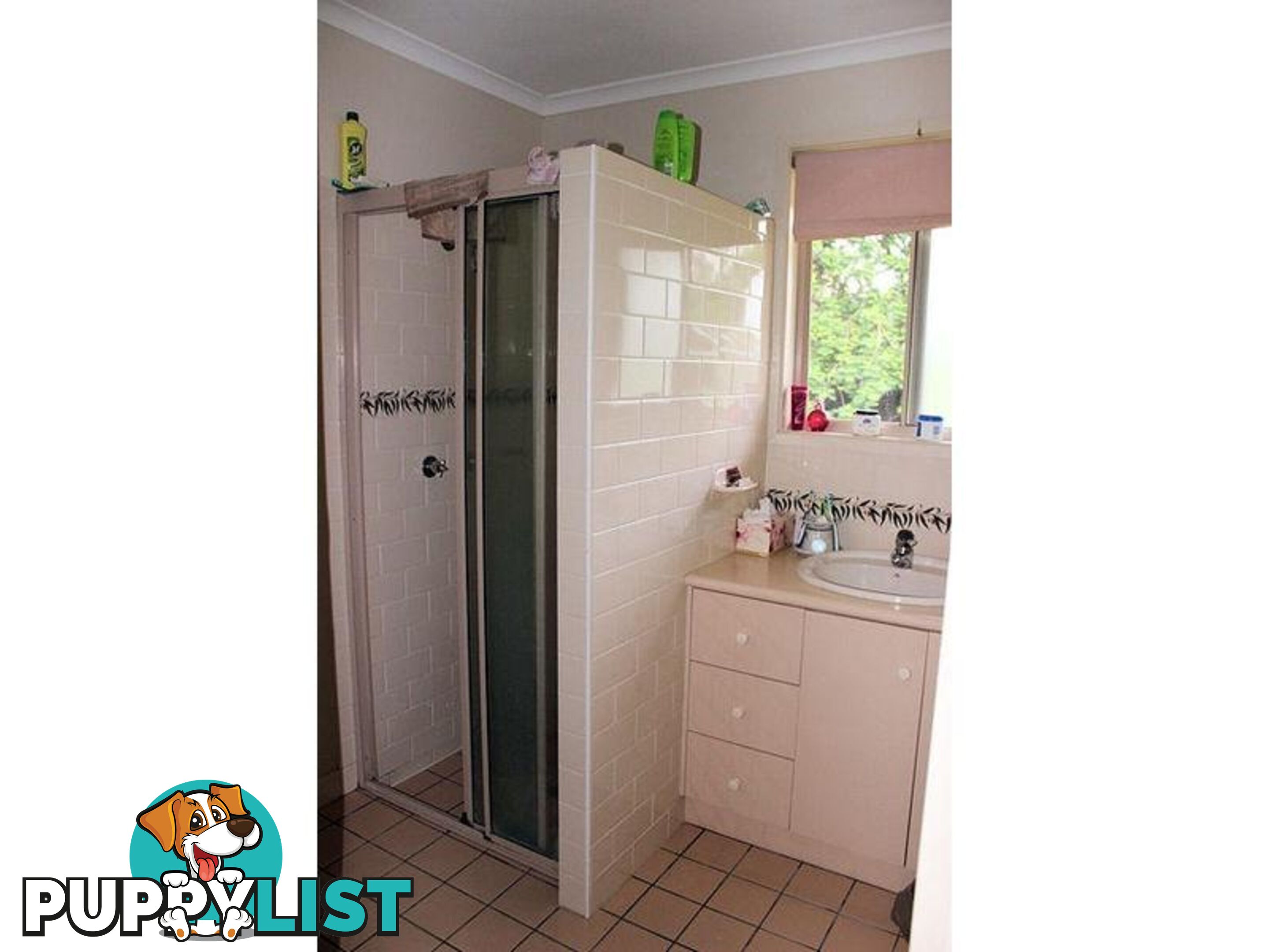 43 Herrenberg Street Aldershot QLD 4650