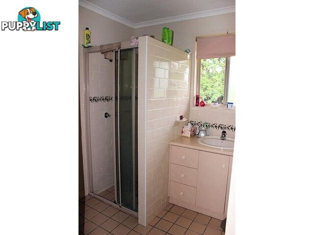 43 Herrenberg Street Aldershot QLD 4650