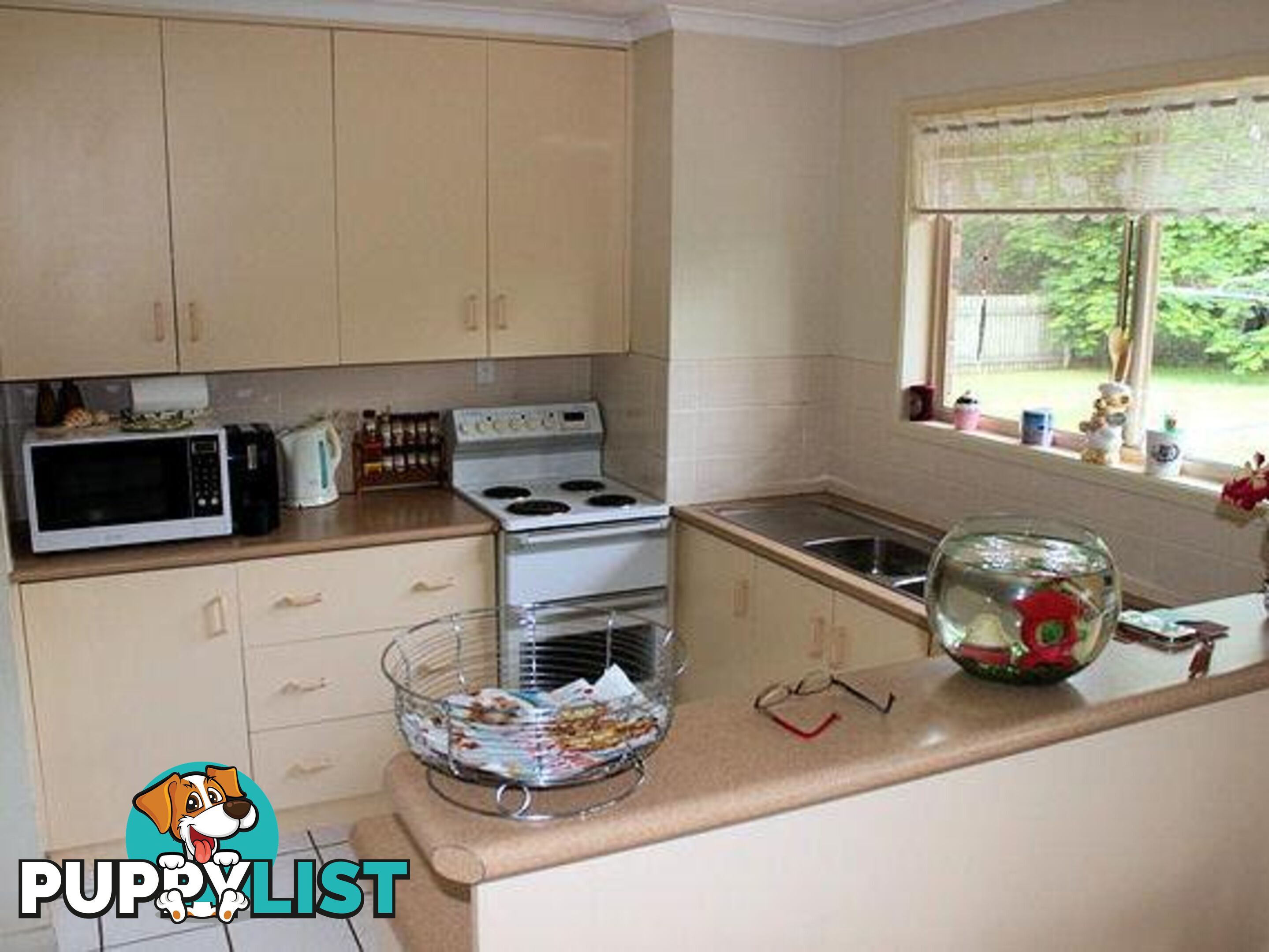 43 Herrenberg Street Aldershot QLD 4650