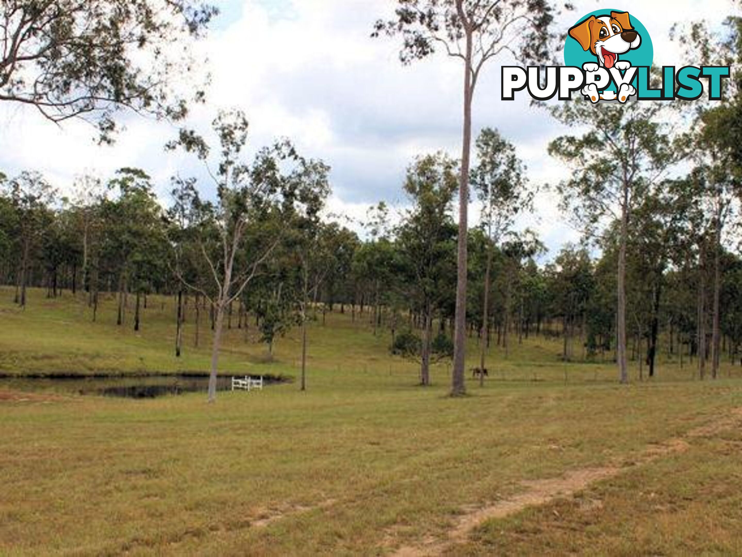 4274 Maryborough Biggenden Rd Aramara QLD 4620