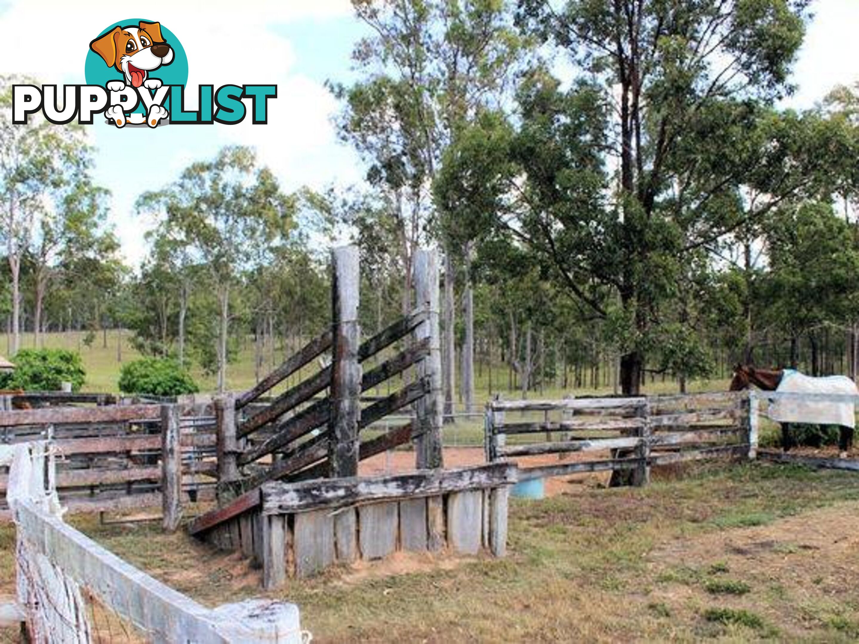 4274 Maryborough Biggenden Rd Aramara QLD 4620