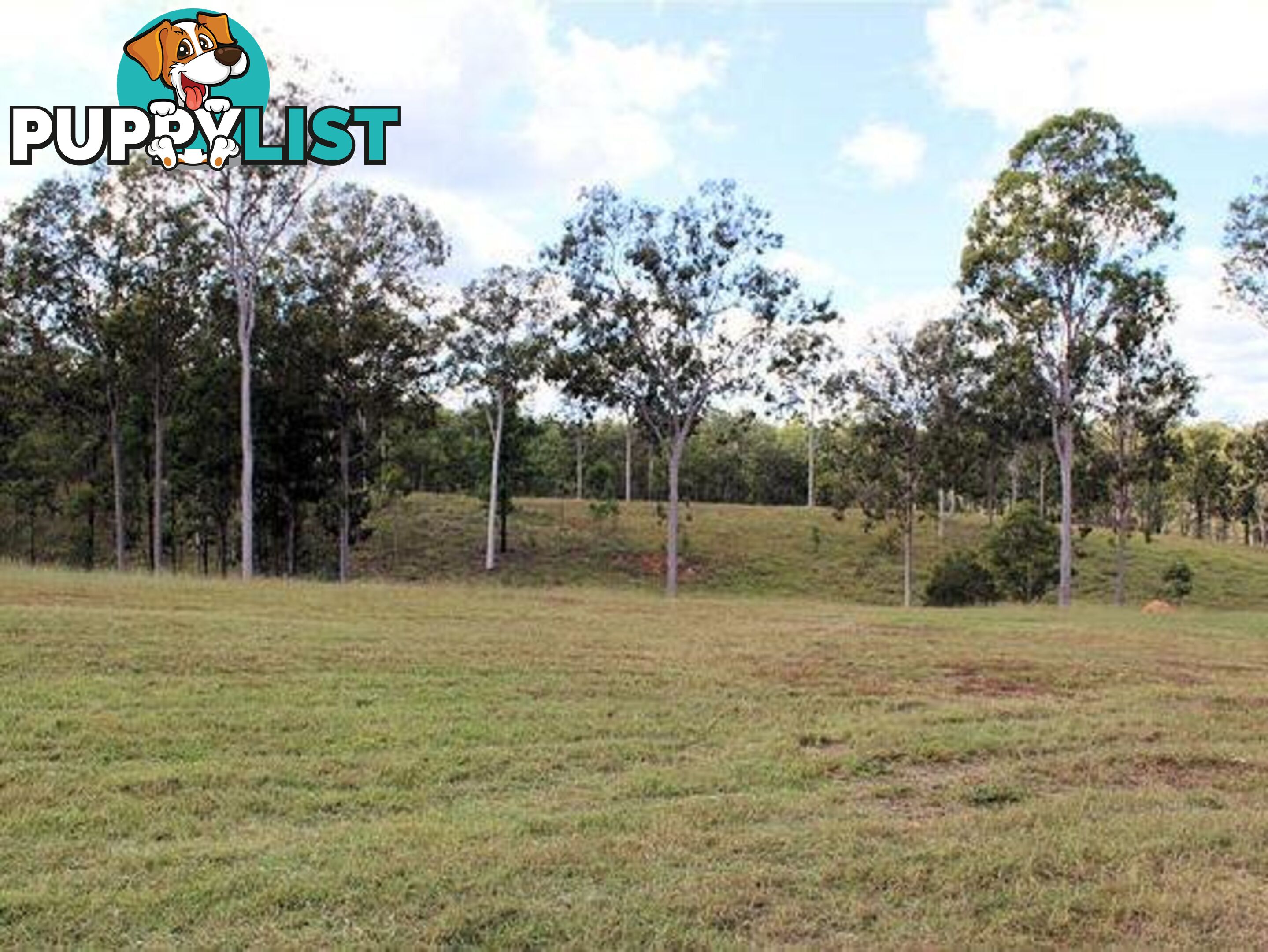 4274 Maryborough Biggenden Rd Aramara QLD 4620