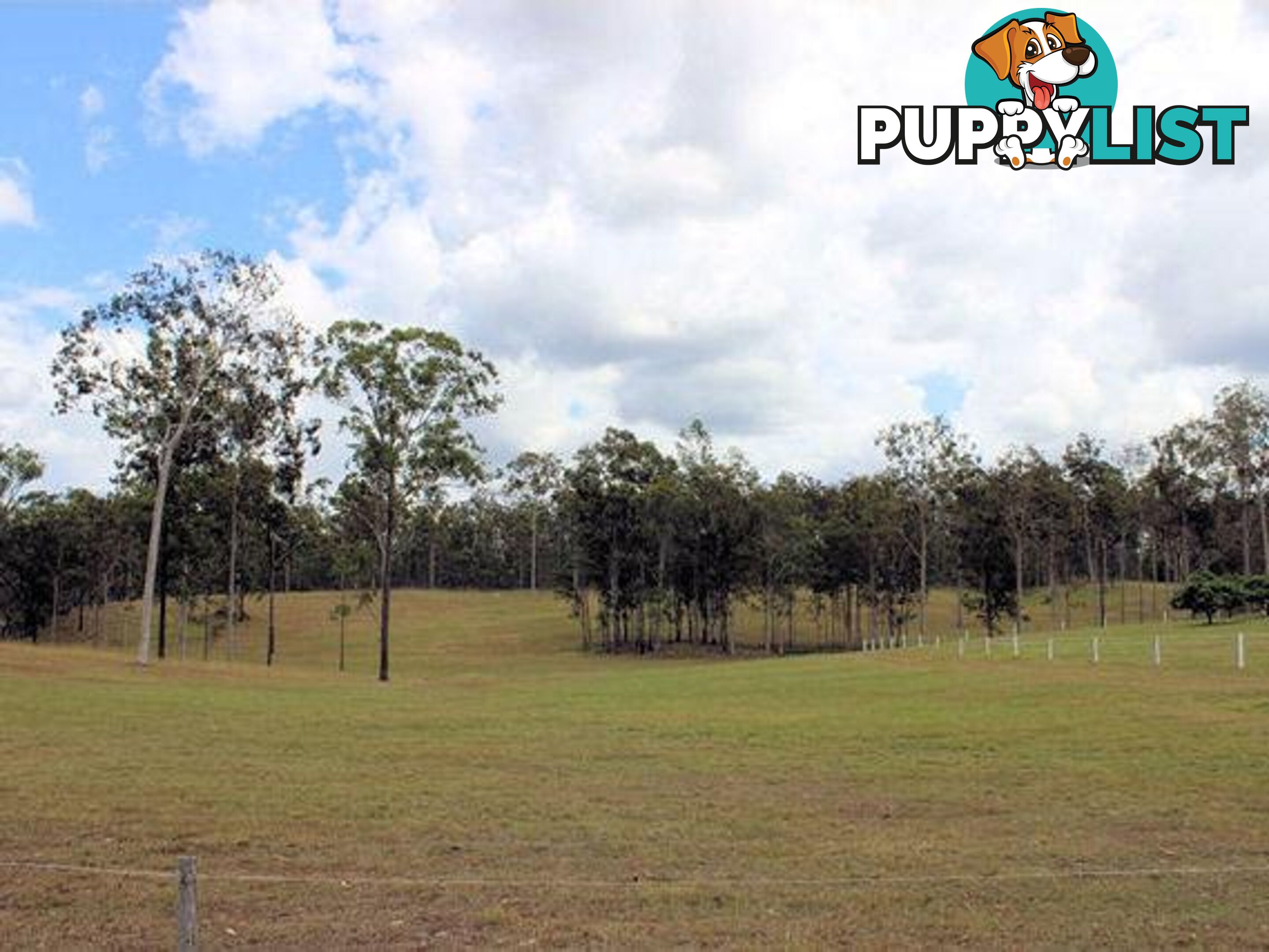 4274 Maryborough Biggenden Rd Aramara QLD 4620