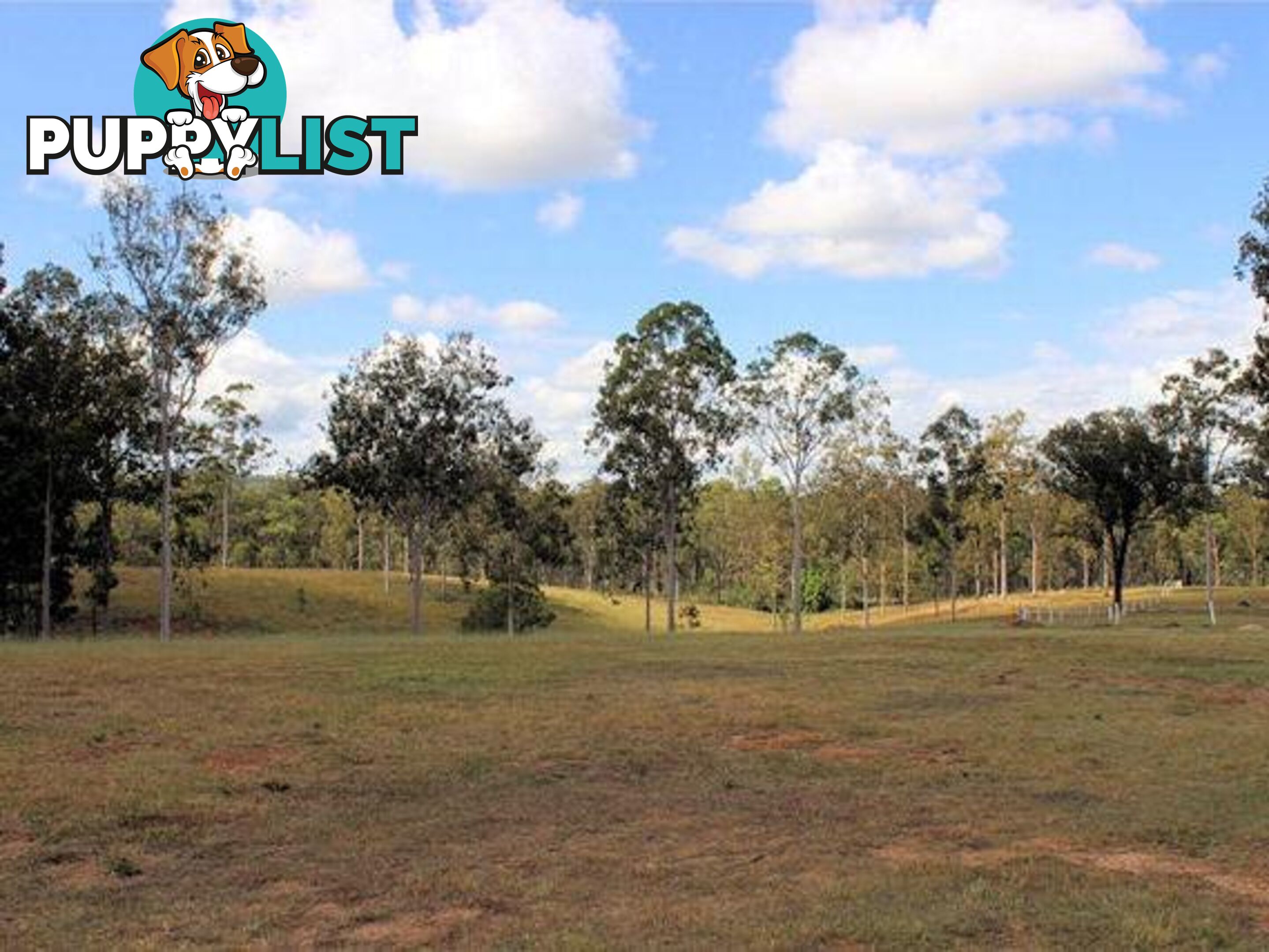 4274 Maryborough Biggenden Rd Aramara QLD 4620