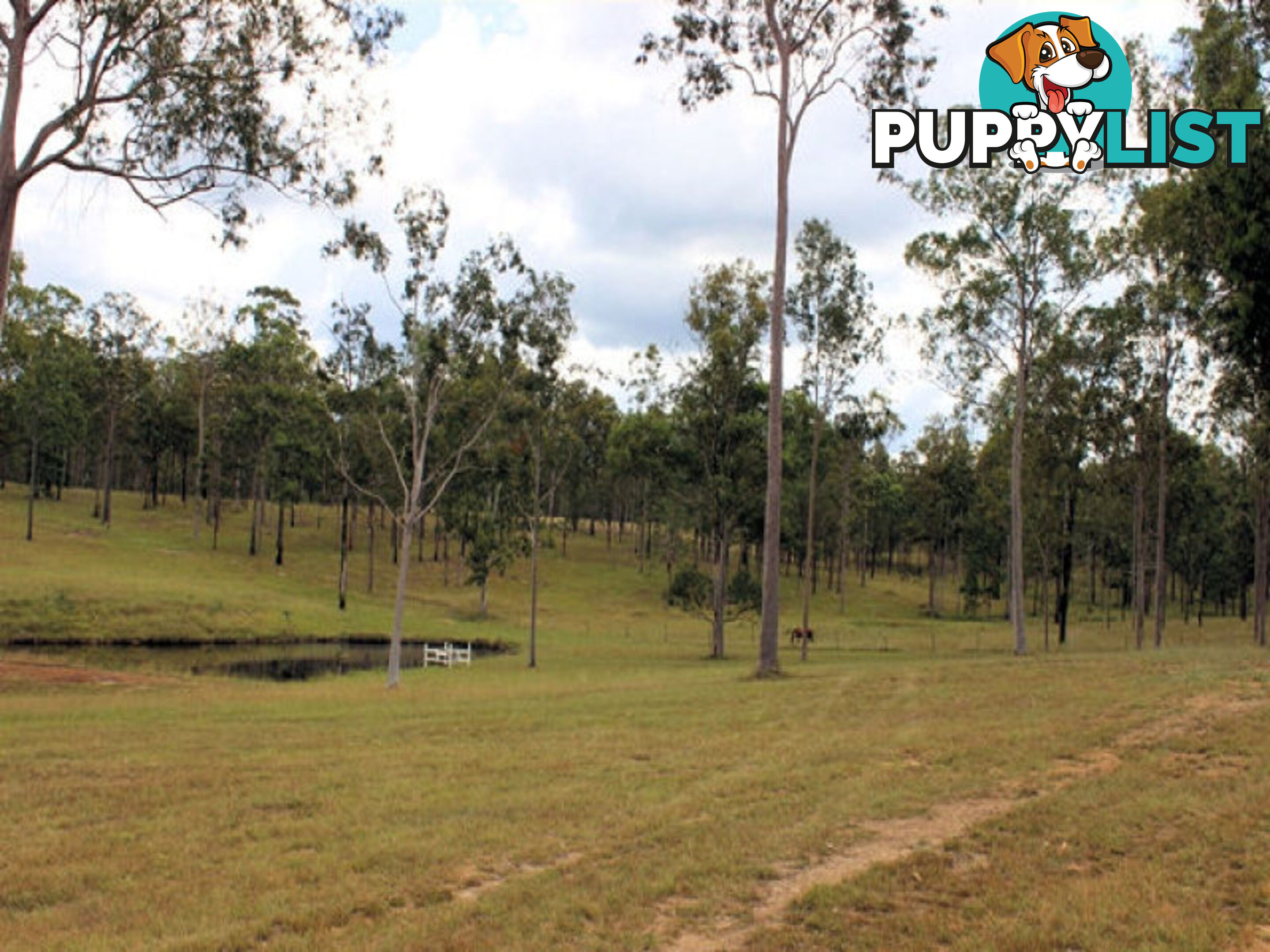 4274 Maryborough Biggenden Road Aramara QLD 4620