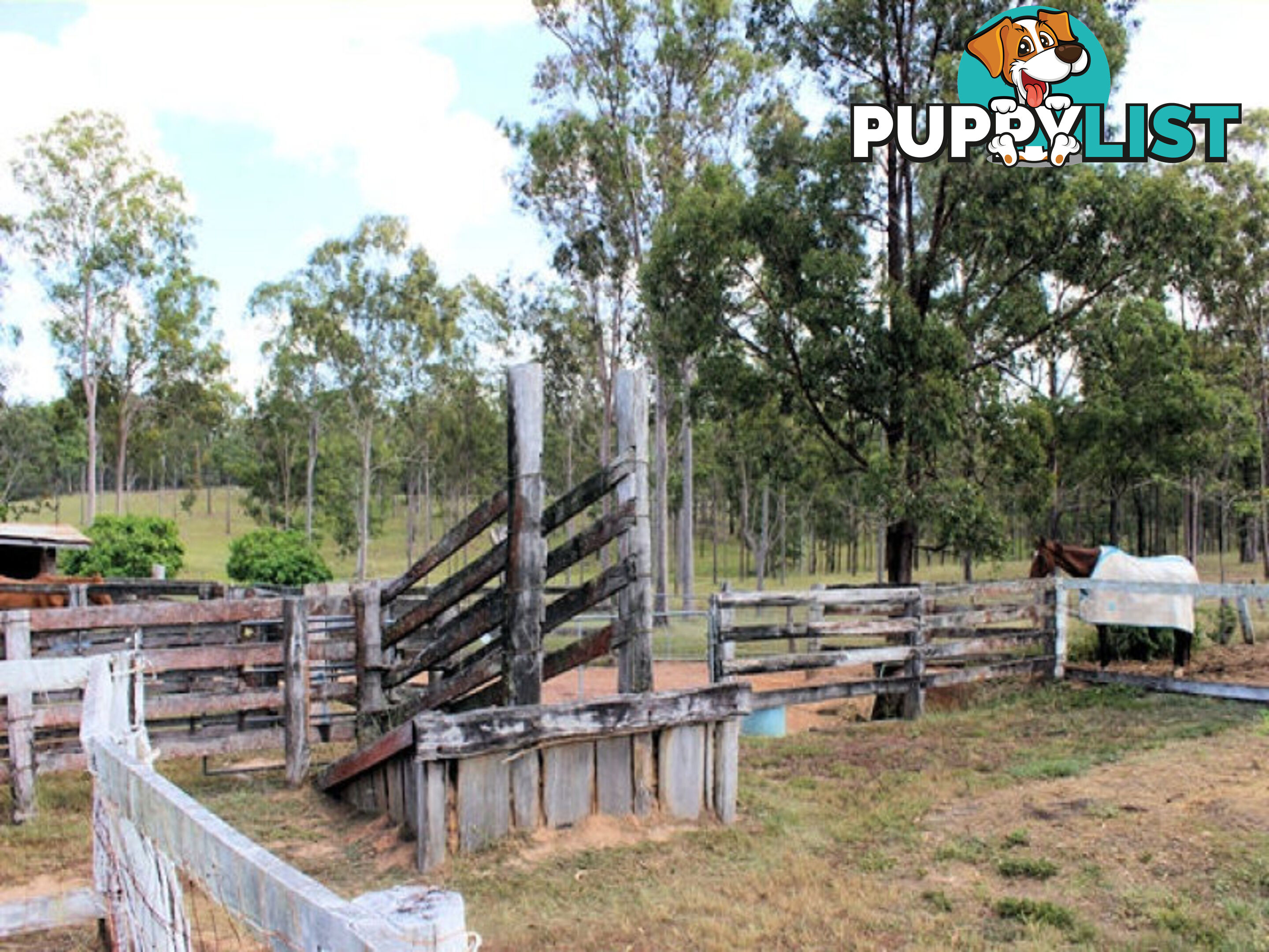 4274 Maryborough Biggenden Road Aramara QLD 4620