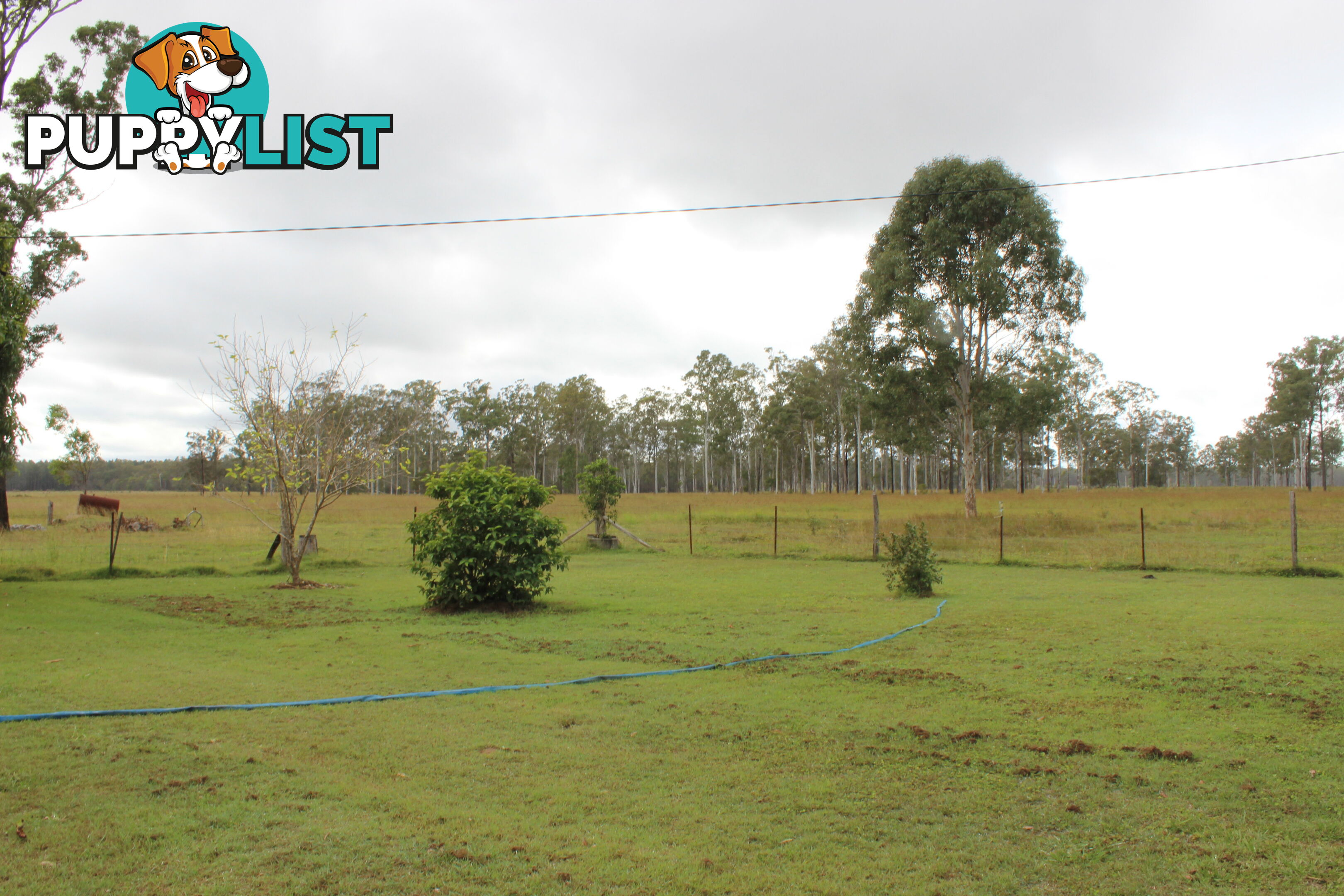 275 Suthers Rd Dunmora QLD 4650