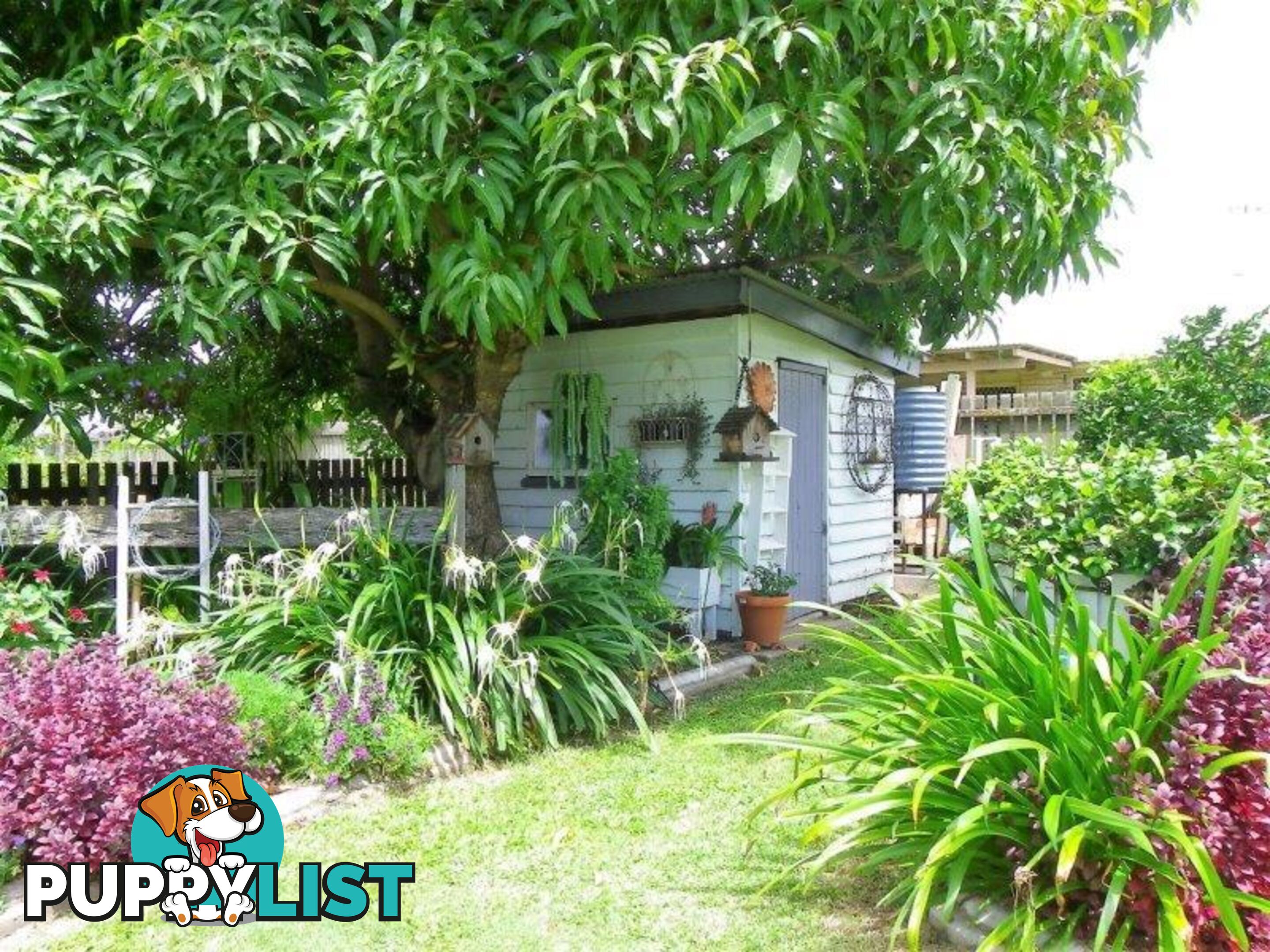 264 Ellena St Maryborough QLD 4650