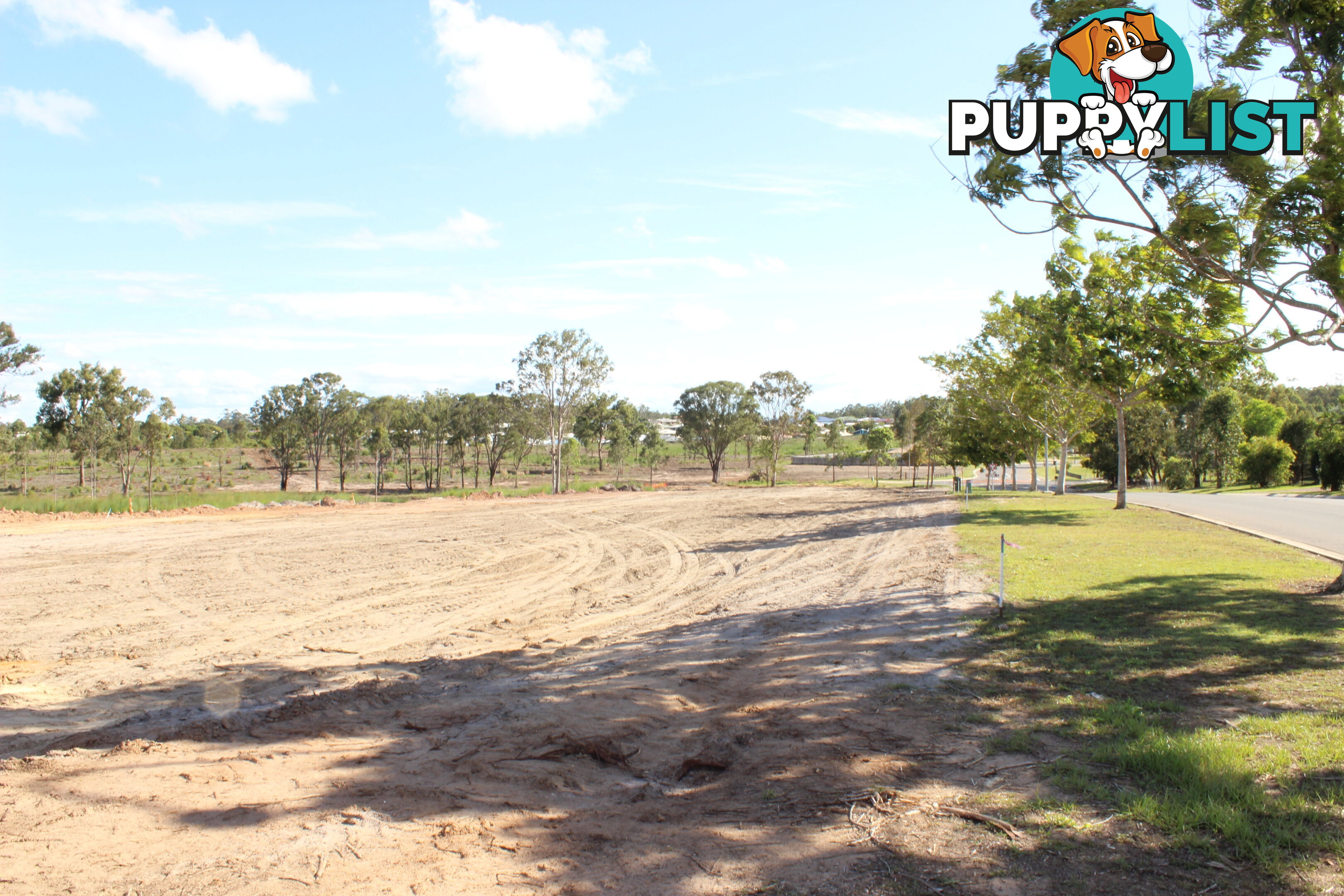 Tulipwood Drive Tinana QLD 4650