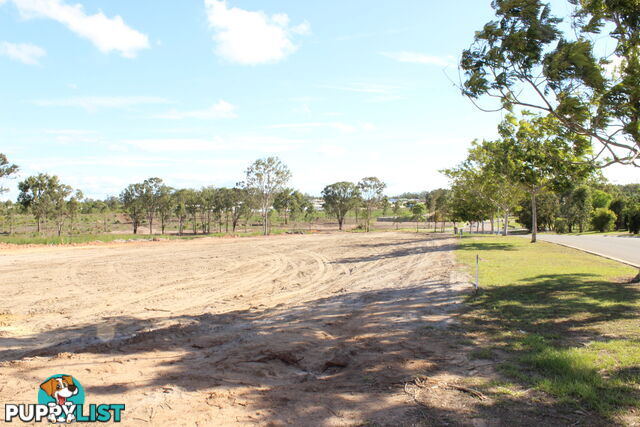 Tulipwood Drive Tinana QLD 4650