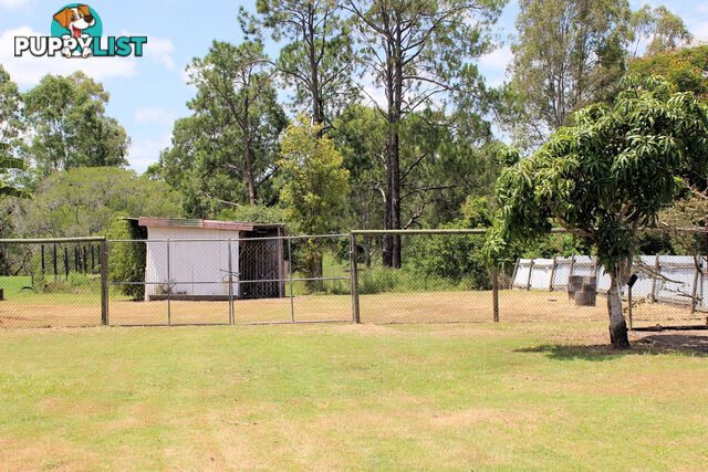 24 Cran St Maryborough QLD 4650