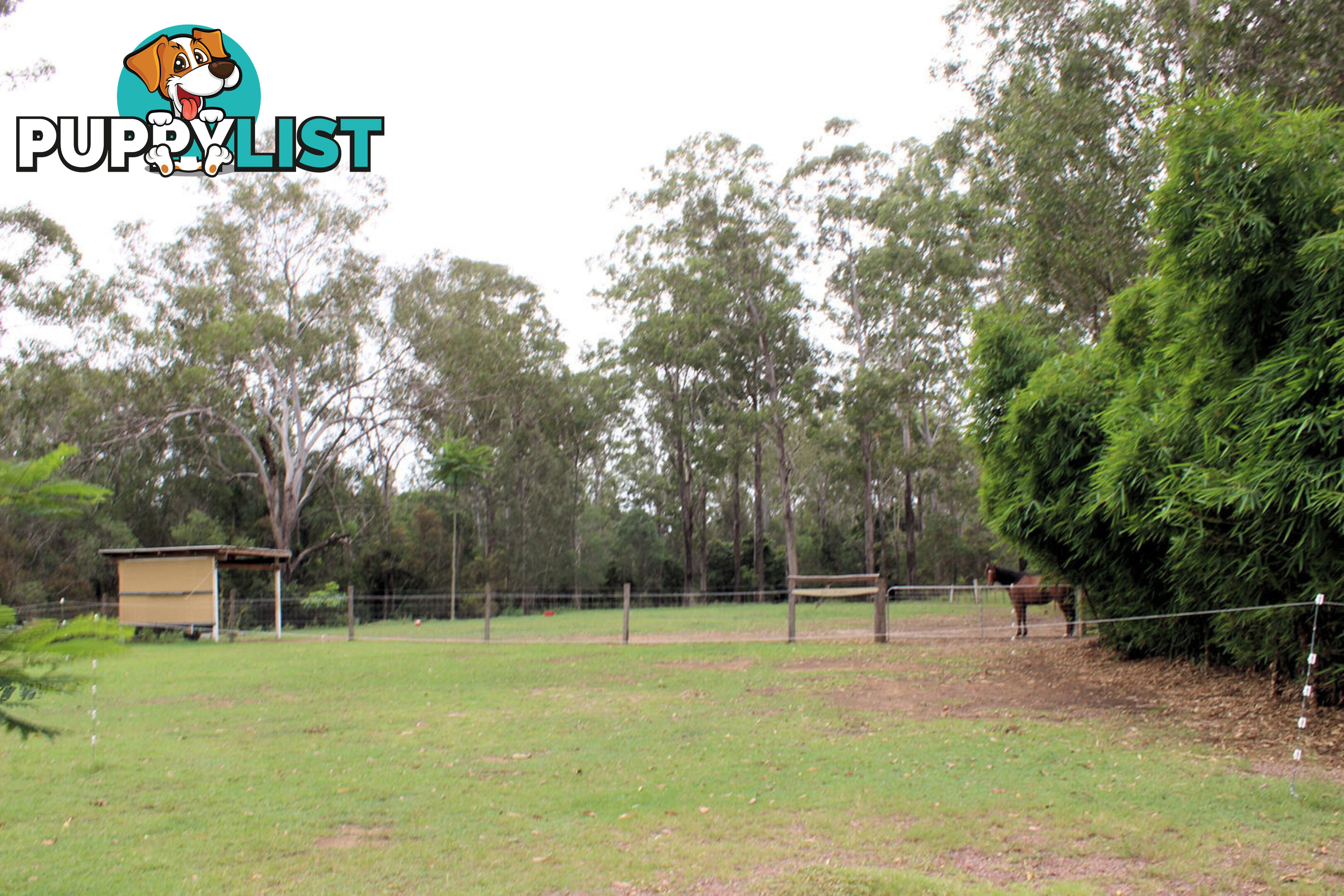 69 Dunford Rd. East Grahams Creek QLD 4650