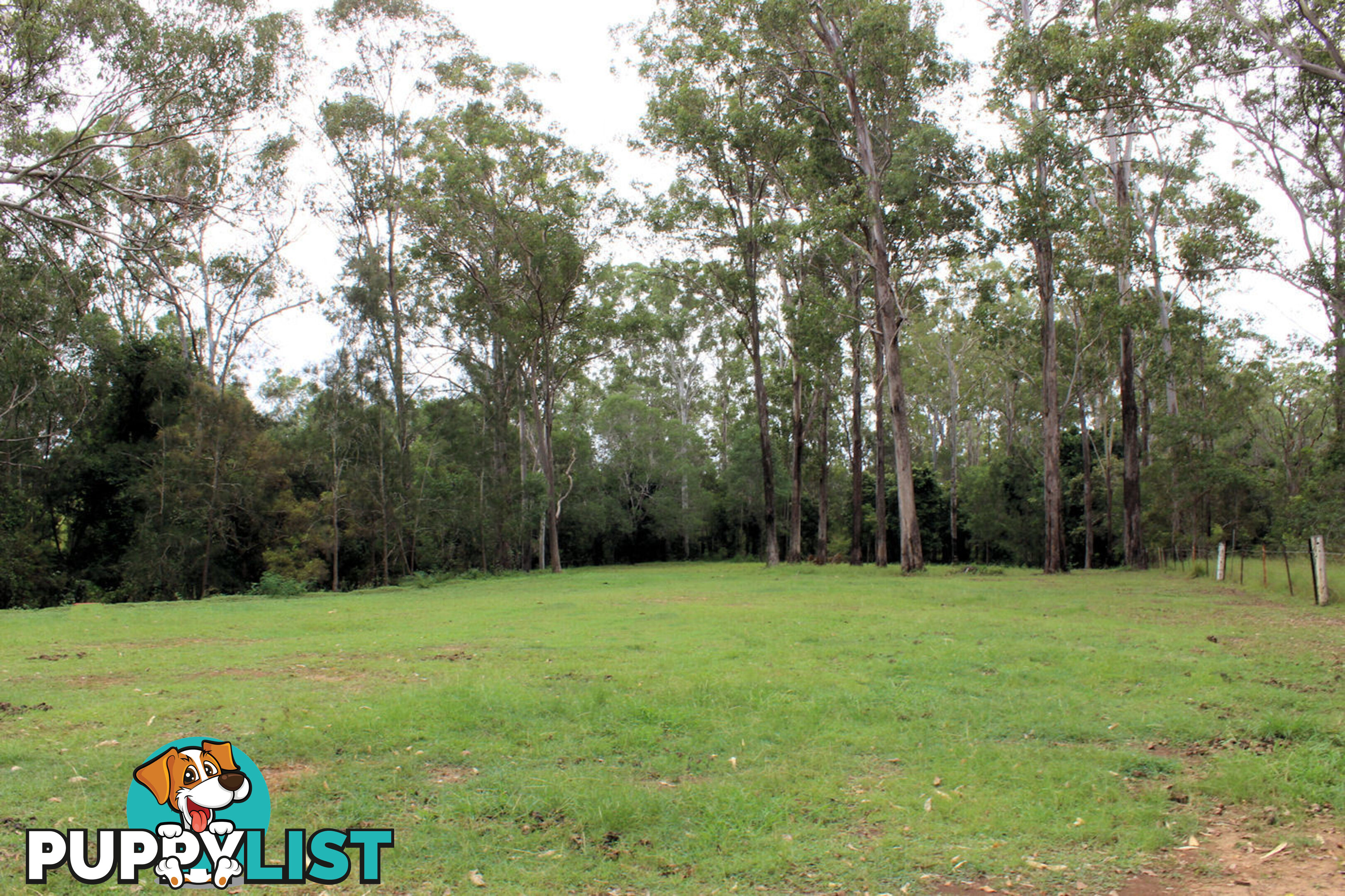 69 Dunford Rd. East Grahams Creek QLD 4650