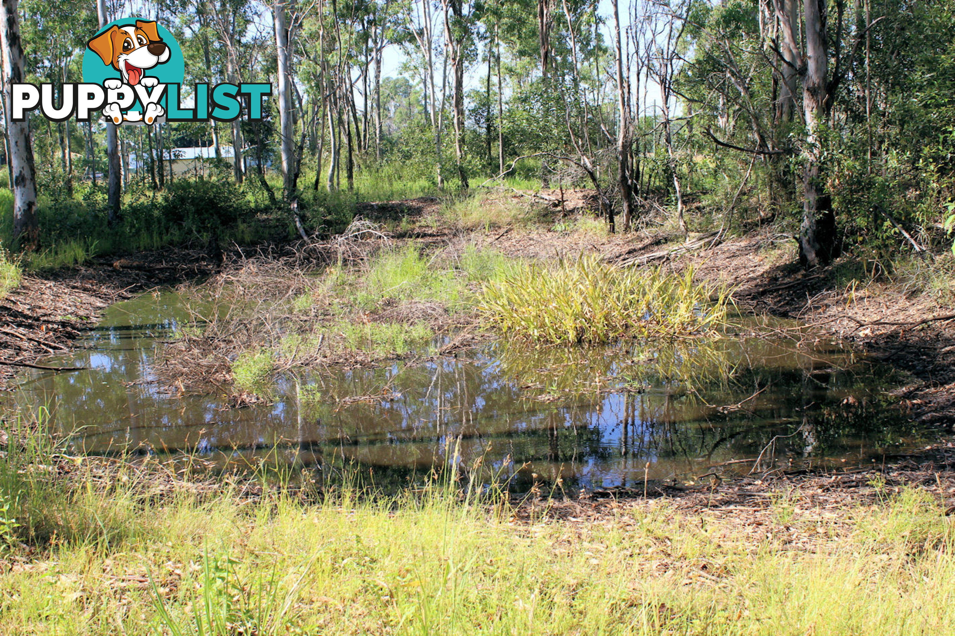 Lot 11 Netherby Road Gundiah QLD 4650