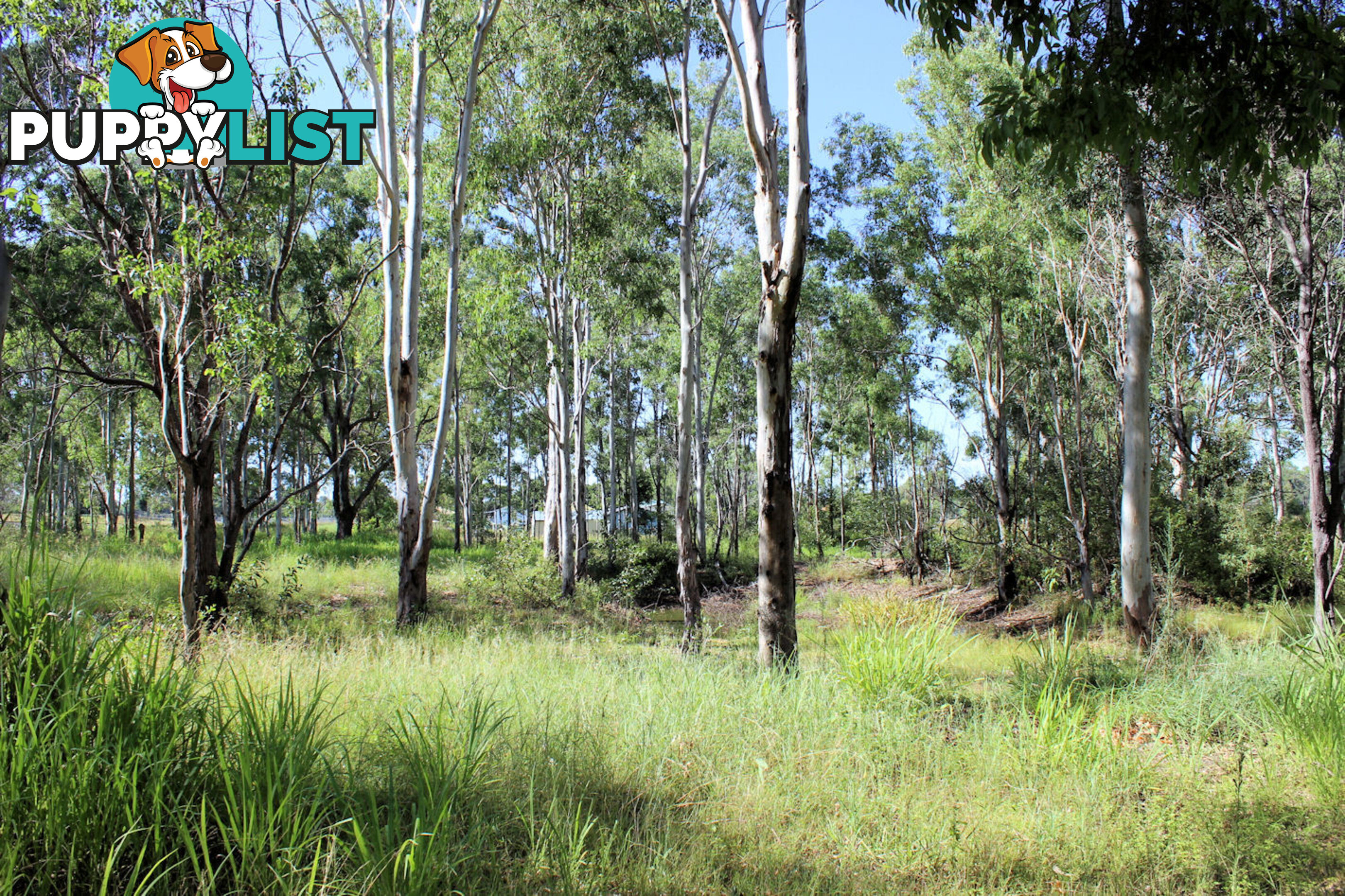 Lot 11 Netherby Road Gundiah QLD 4650