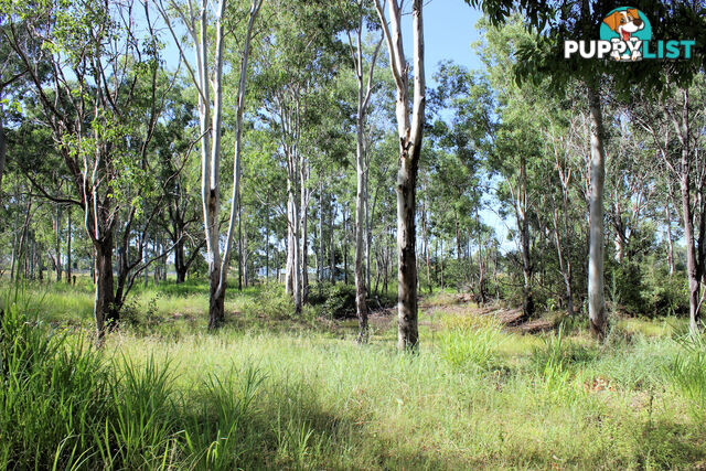 Lot 11 Netherby Road Gundiah QLD 4650