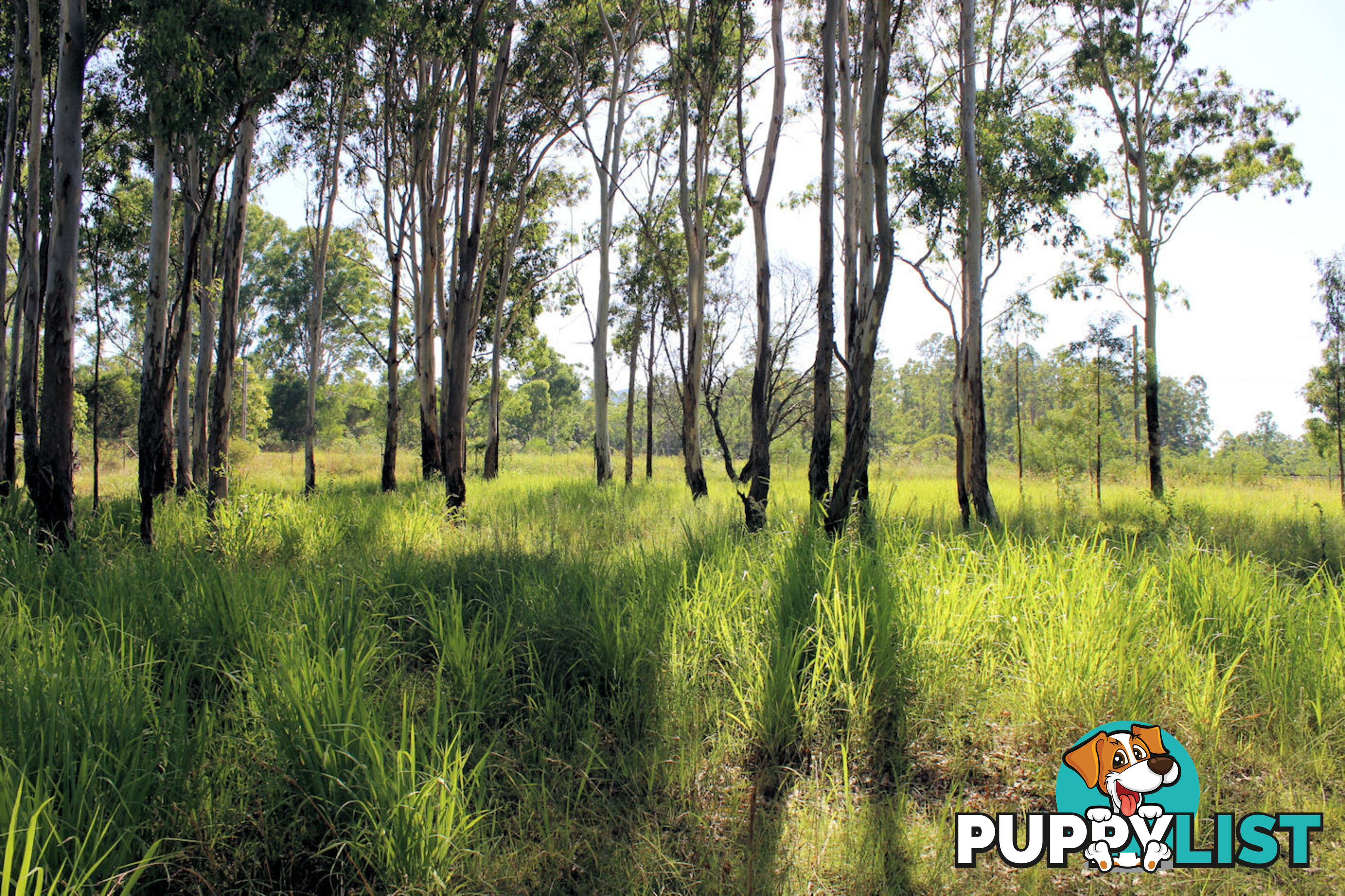 Lot 11 Netherby Road Gundiah QLD 4650