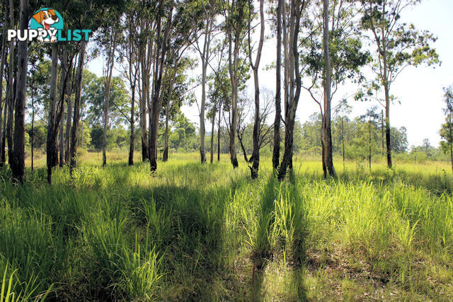 Lot 11 Netherby Road Gundiah QLD 4650