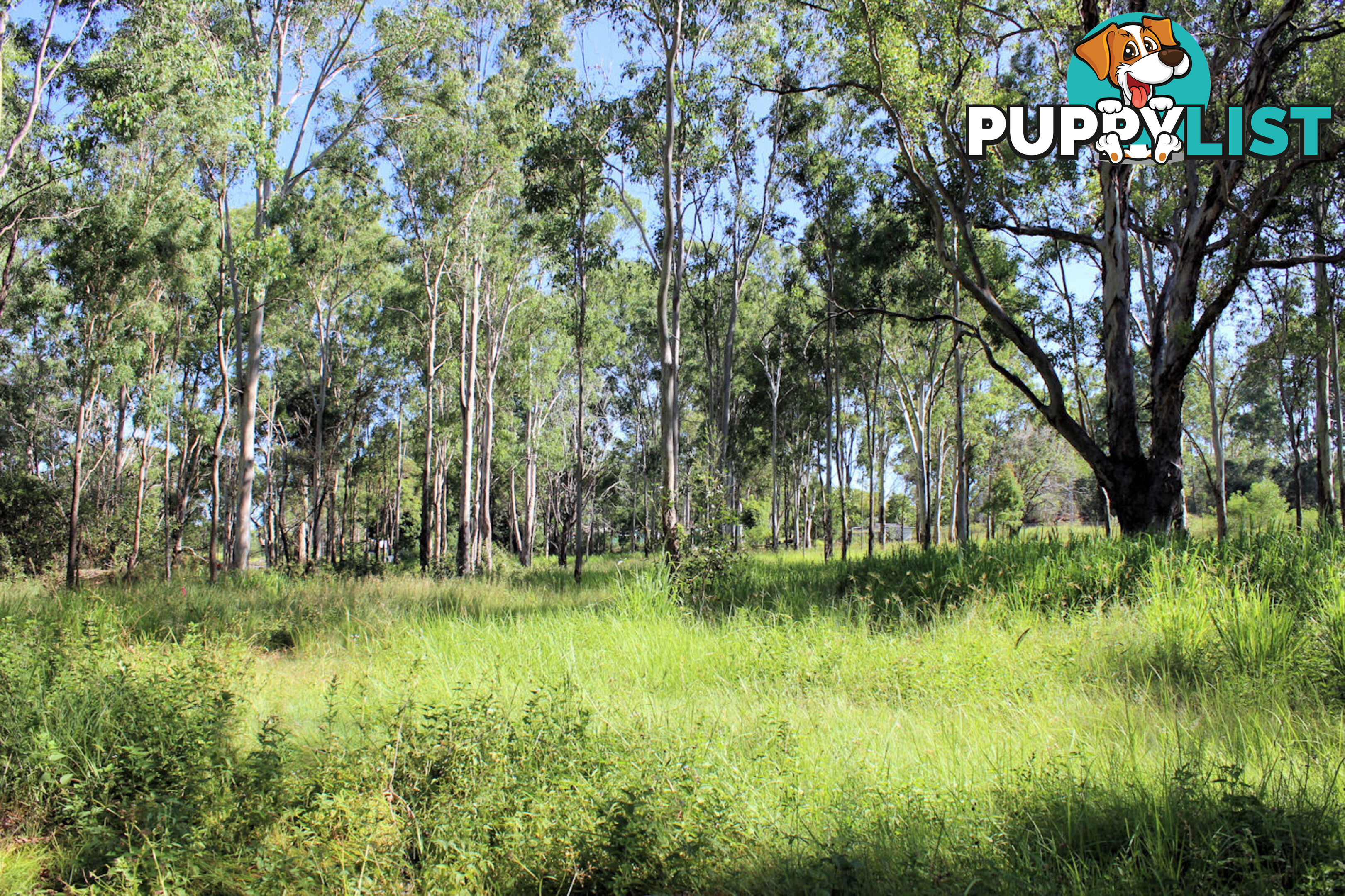 Lot 11 Netherby Road Gundiah QLD 4650