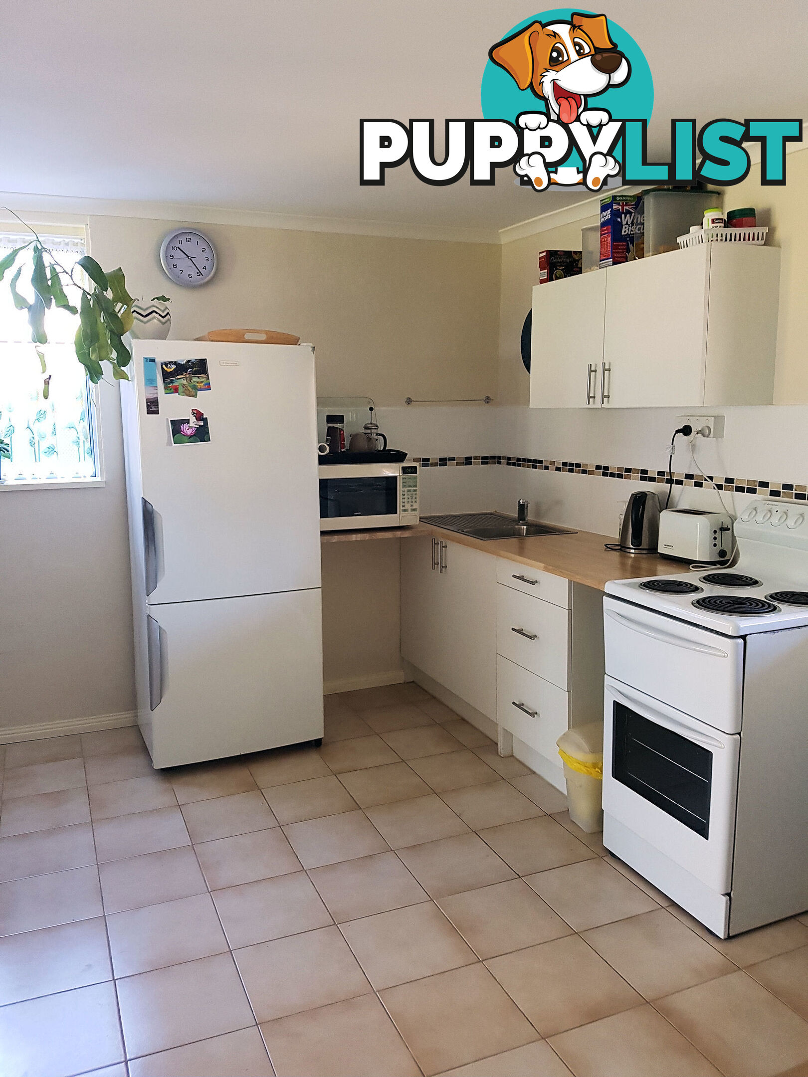 53 Ventnor St Maaroom QLD 4650