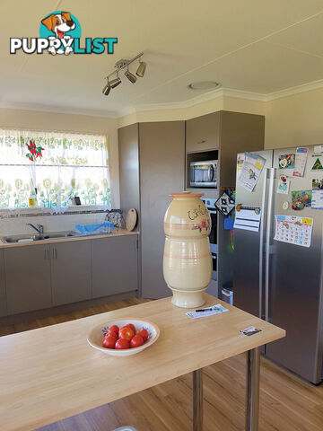 53 Ventnor St Maaroom QLD 4650