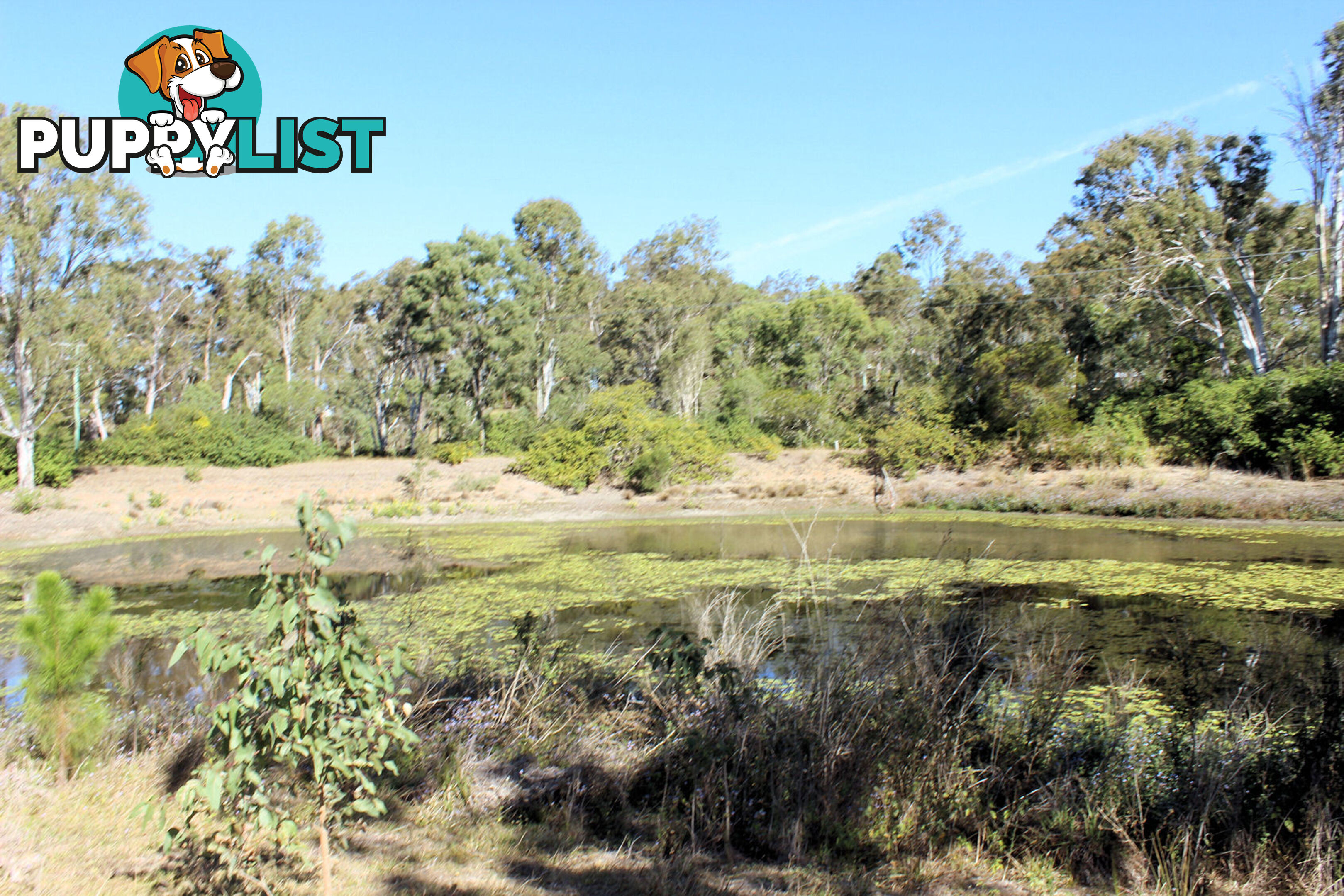 Lot 2 Walker Ave Tinana QLD 4650