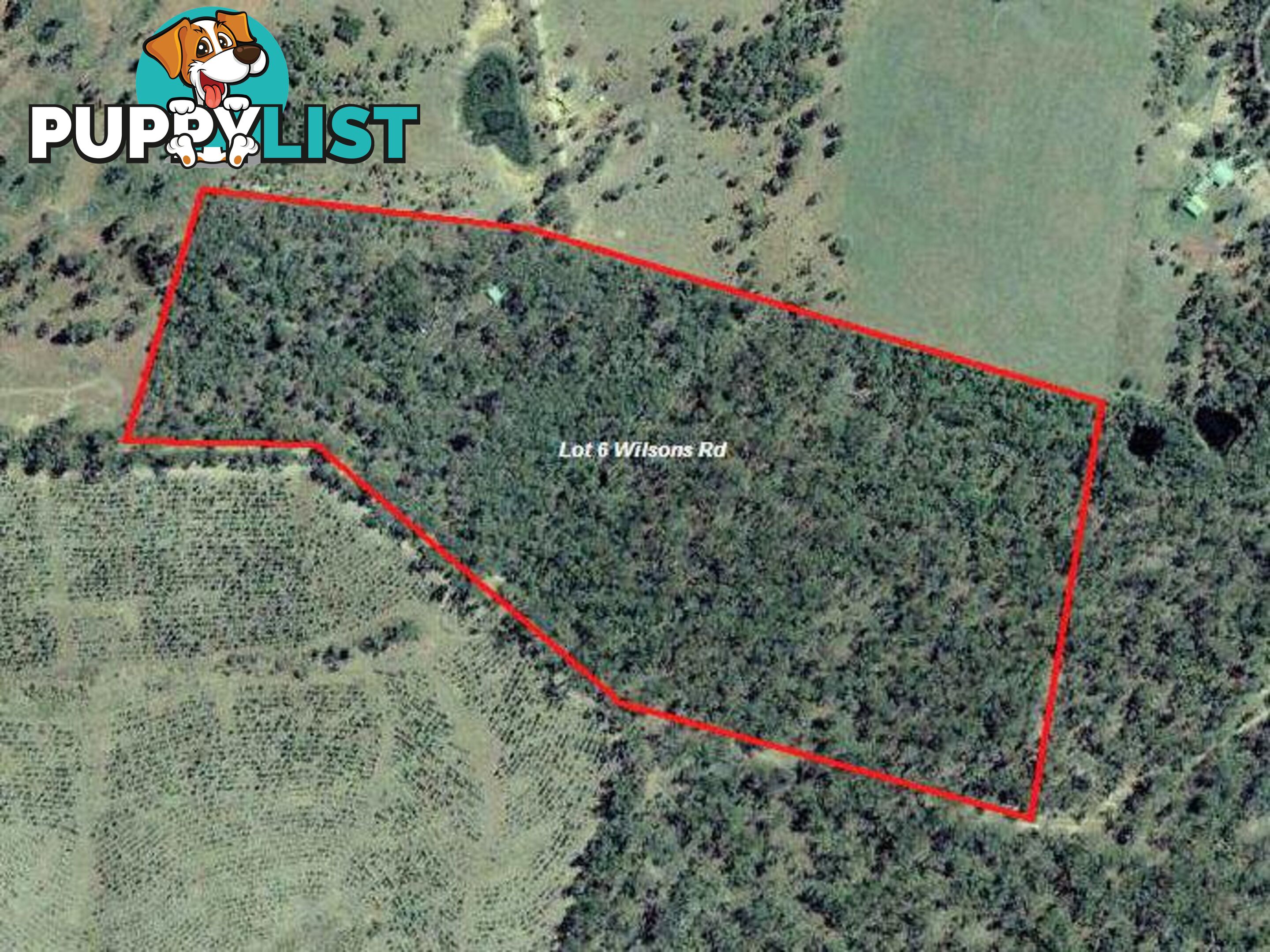 Lot 6 Wilsons Road Tiaro QLD 4650