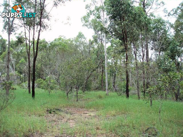 Lot 6 Wilsons Road Tiaro QLD 4650