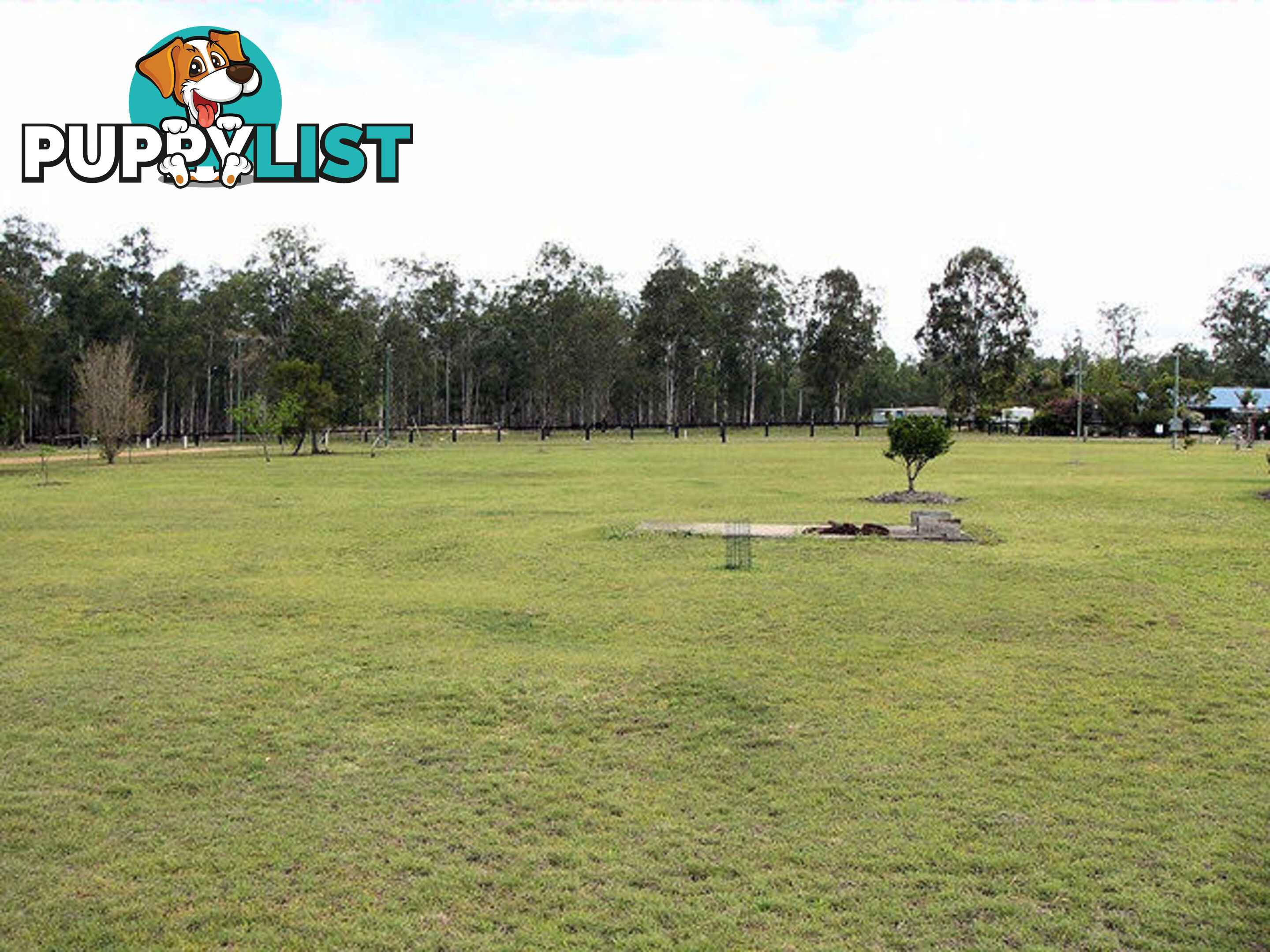 2304 Musket Flat Road Doongul QLD 4620