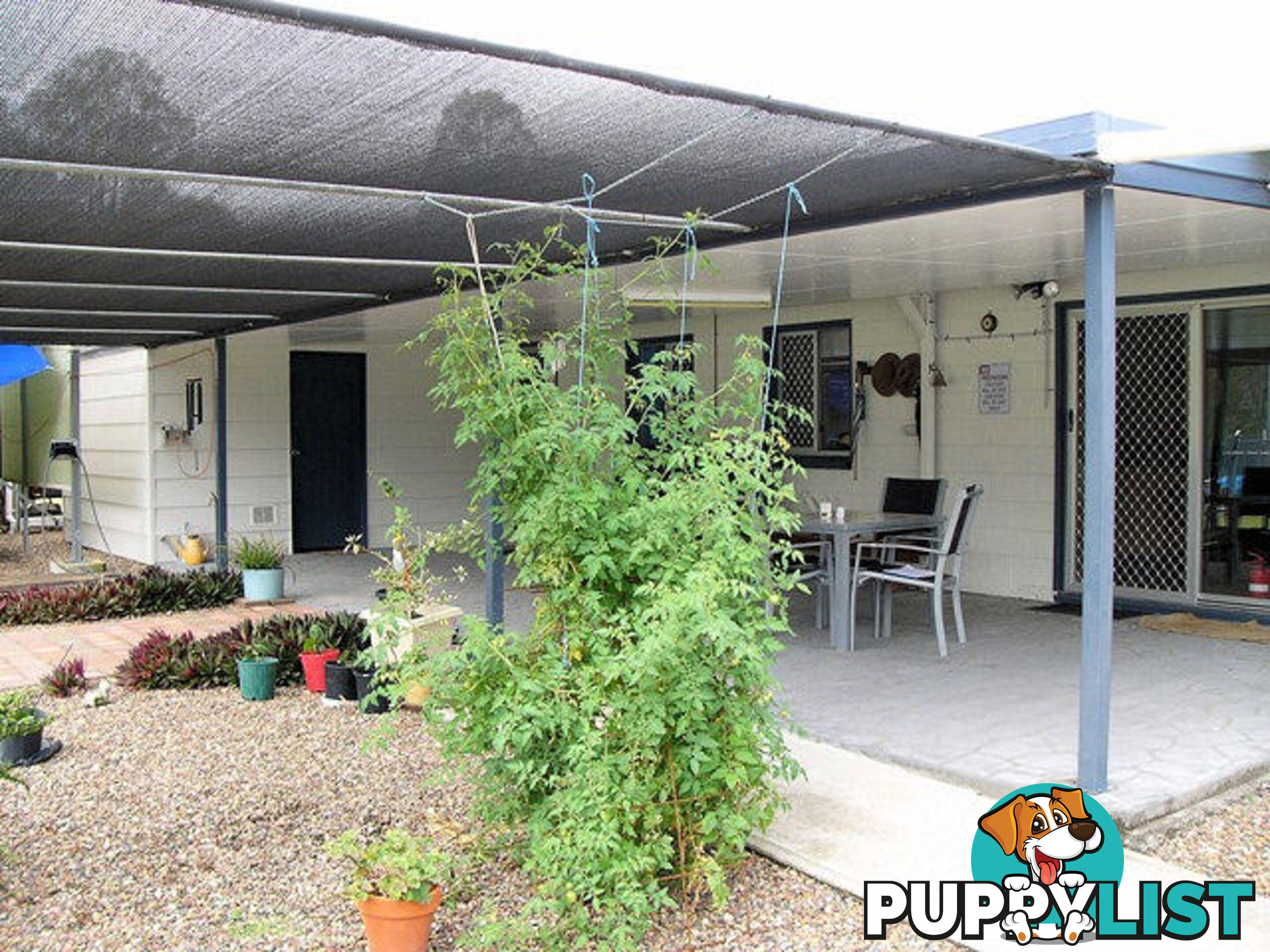 2304 Musket Flat Road Doongul QLD 4620