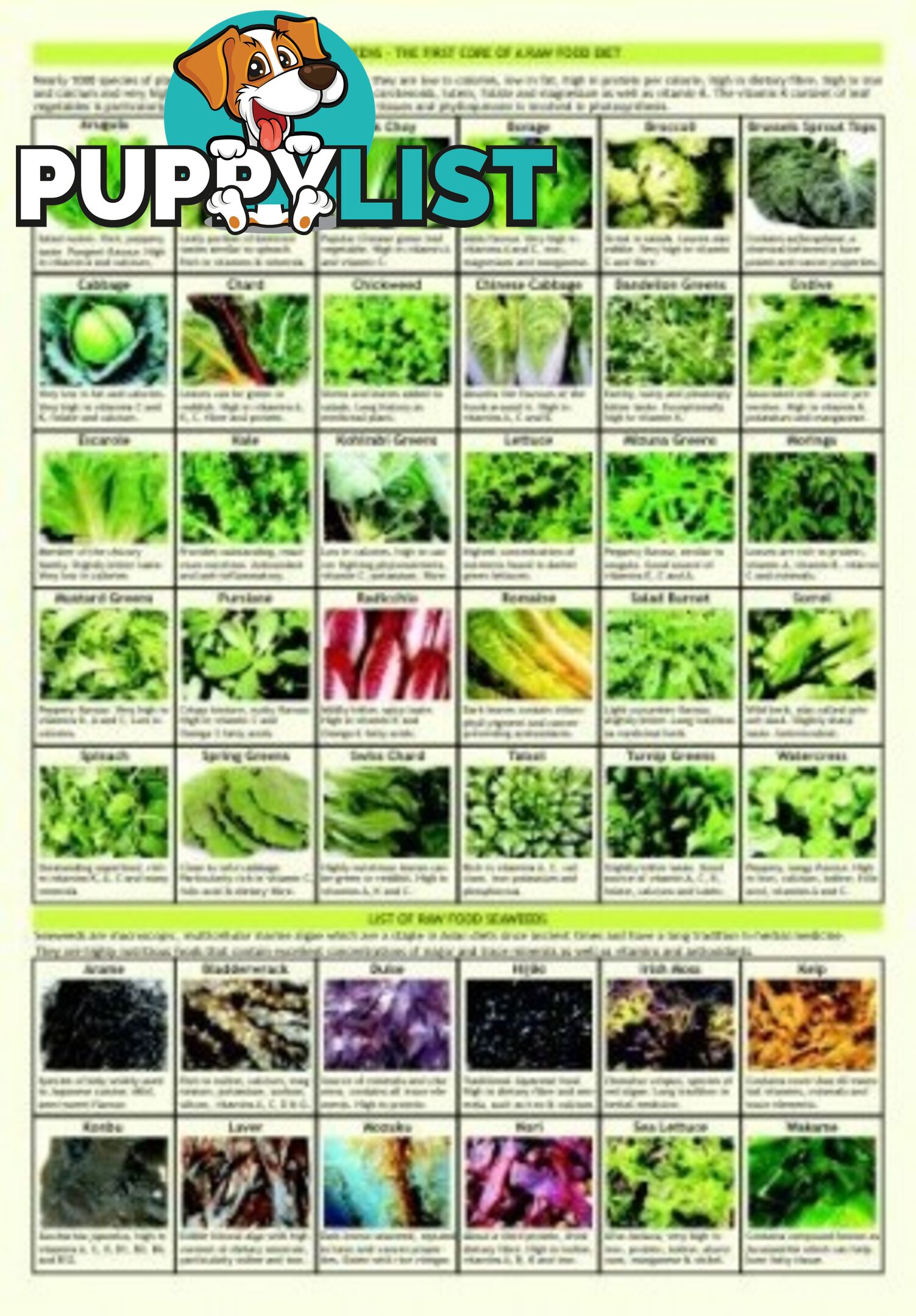 Guide - Raw Food Guide - MPN: 1098