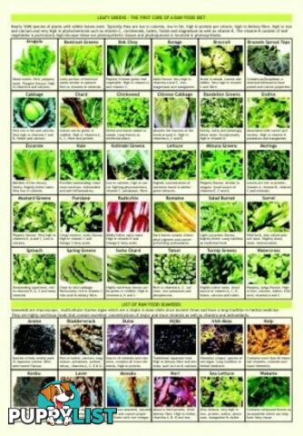 Guide - Raw Food Guide - MPN: 1098