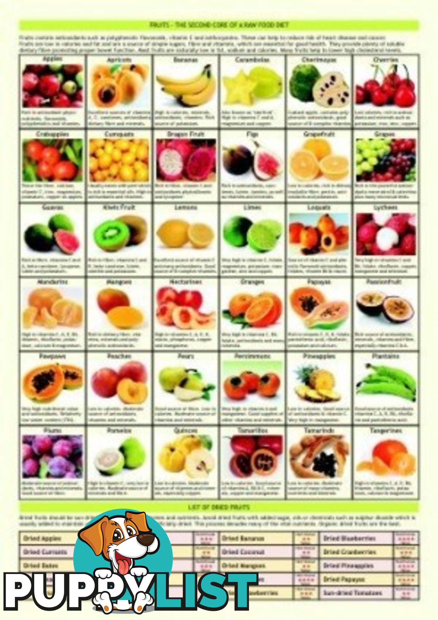 Guide - Raw Food Guide - MPN: 1098