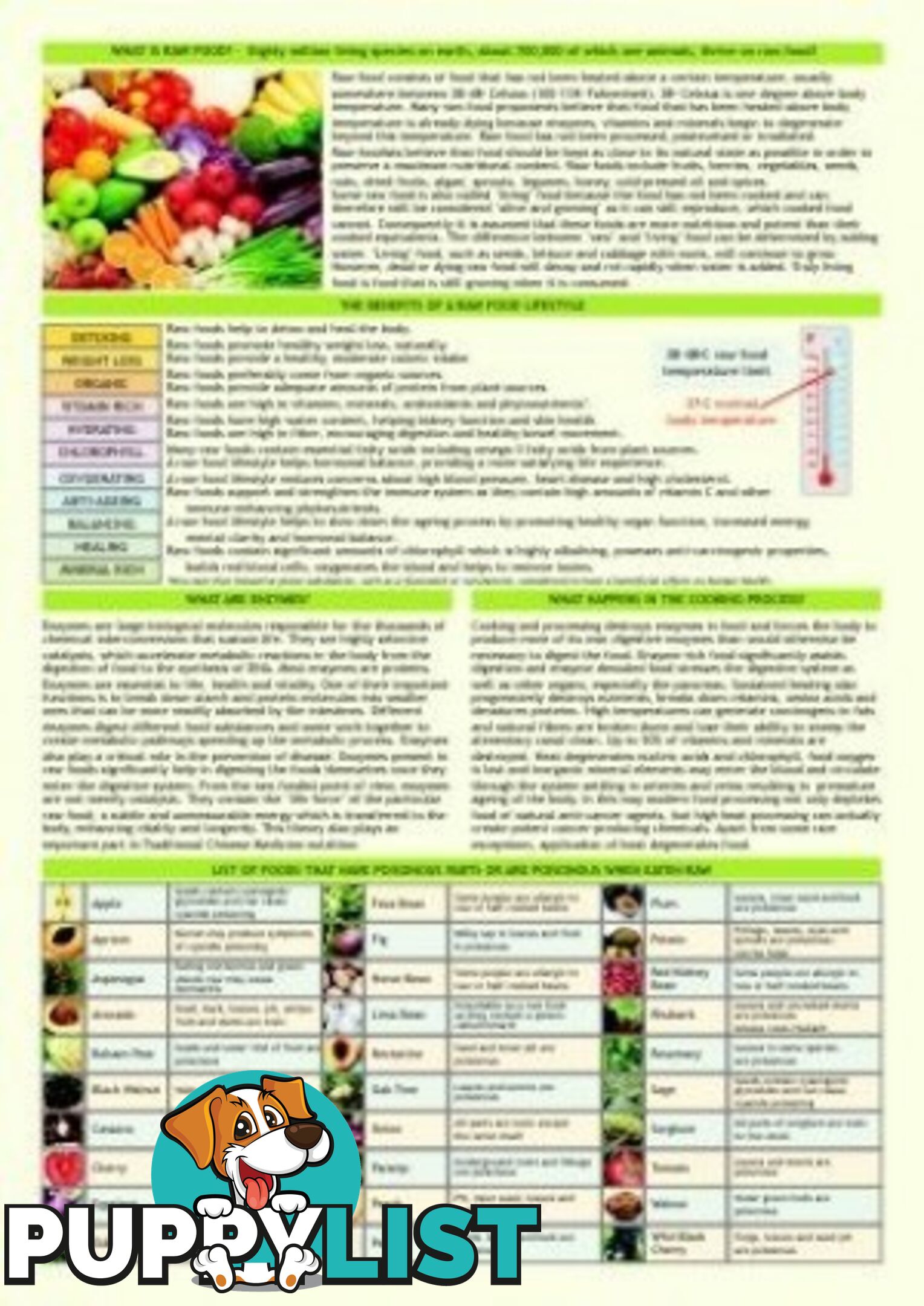 Guide - Raw Food Guide - MPN: 1098