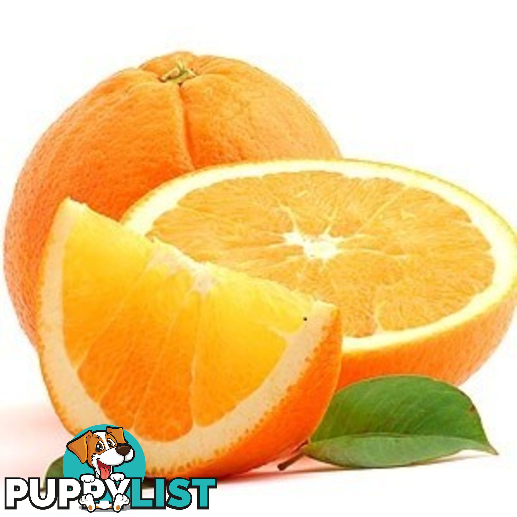 Australian Sweet Orange Essential Oil - MPN: 1245-ALL