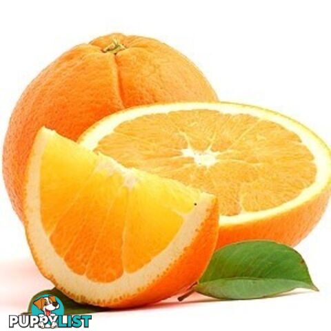 Australian Sweet Orange Essential Oil - MPN: 1245-ALL