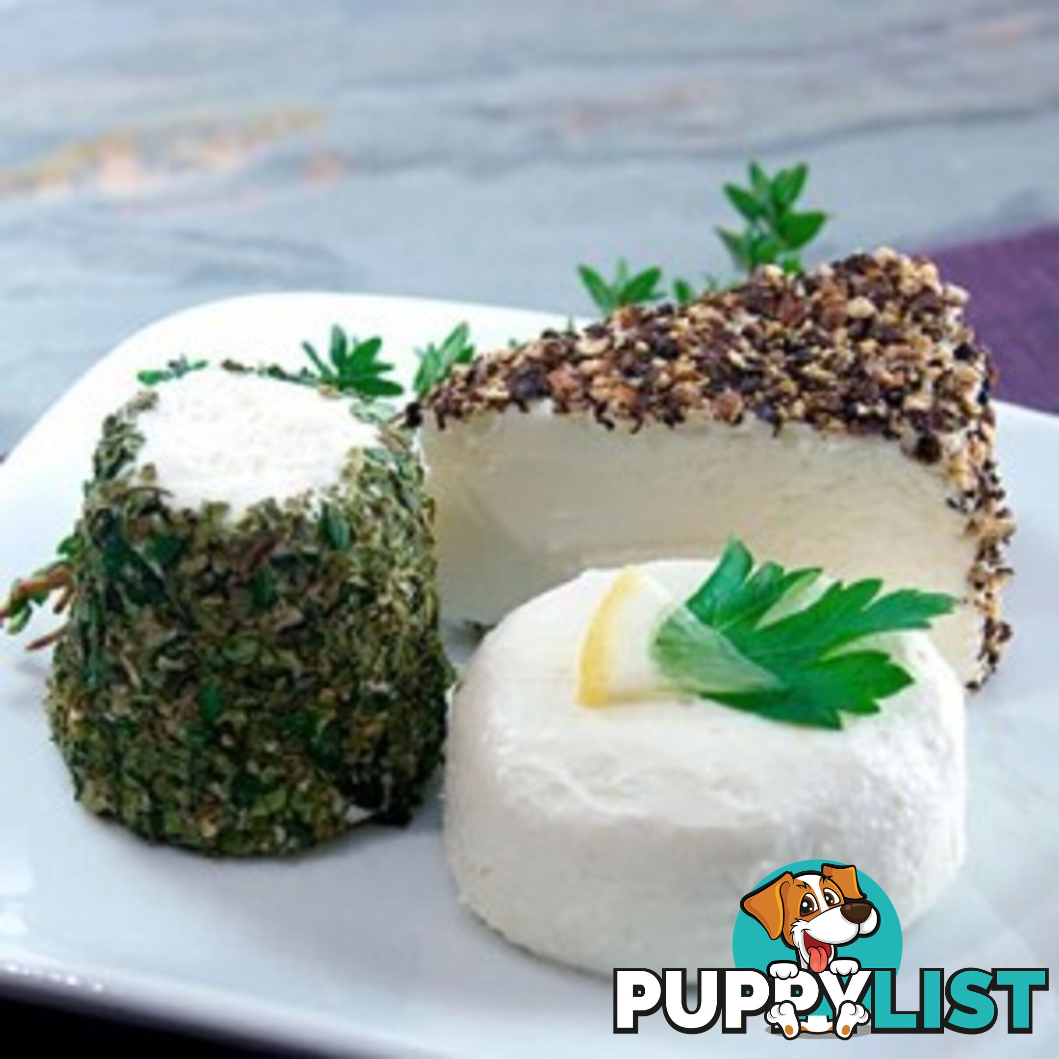 Mesophilic Soft Curd Cheese Culture - MPN: 1069-ALL