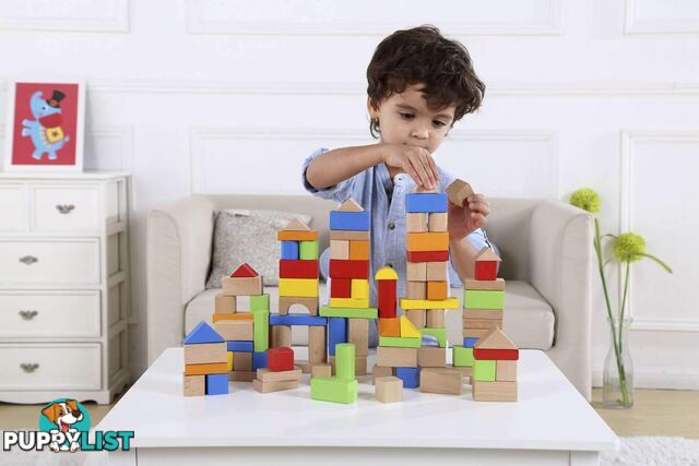 100PCS WOODEN BLOCK