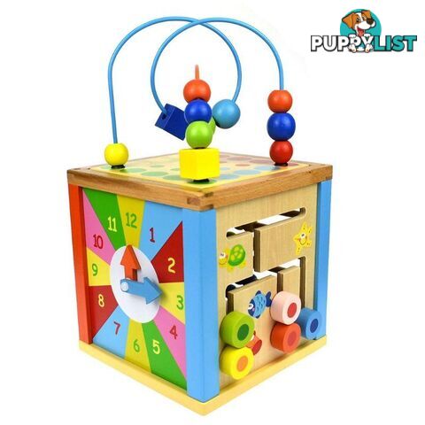 5 In 1 Play Cube Centre