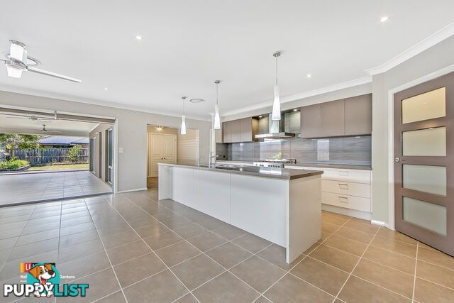 37 Levy Cres THE PONDS NSW 2769